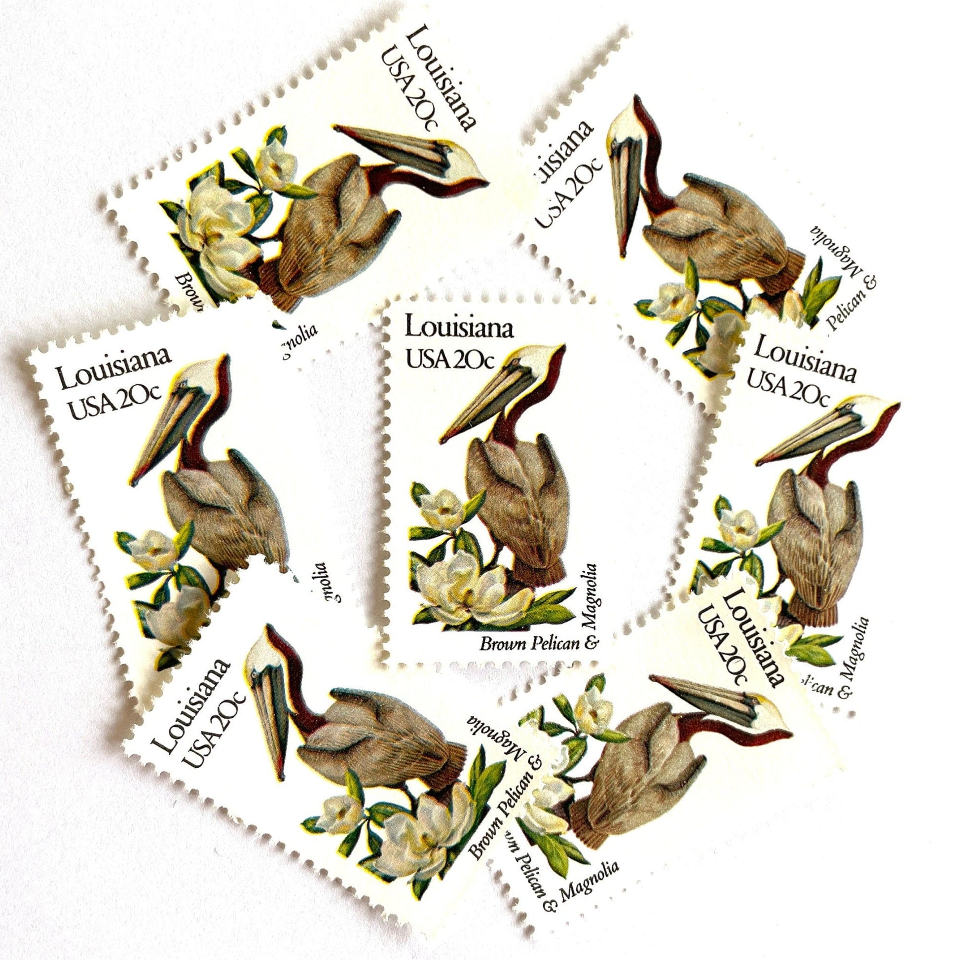 Image of Louisiana State Bird and Flower postage stamps from 1982, featuring a Brown Pelican and Magnolia on vintage unused 20-cent USPS postage, Scott 1970.