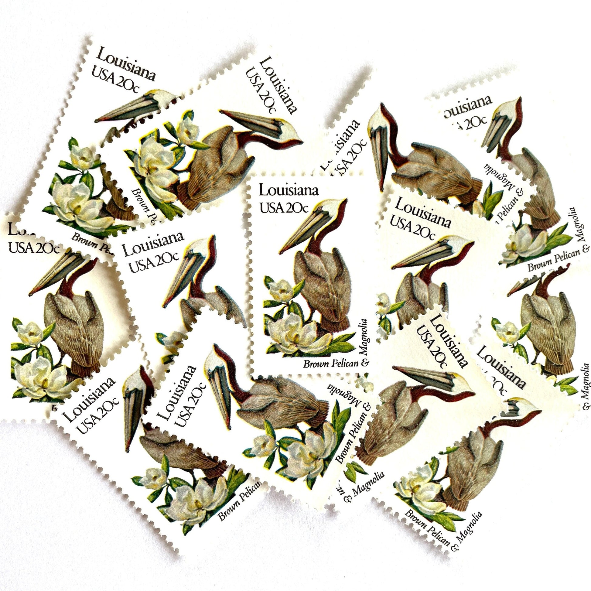 Image of Louisiana State Bird and Flower postage stamps from 1982, featuring a Brown Pelican and Magnolia on vintage unused 20-cent USPS postage, Scott 1970.