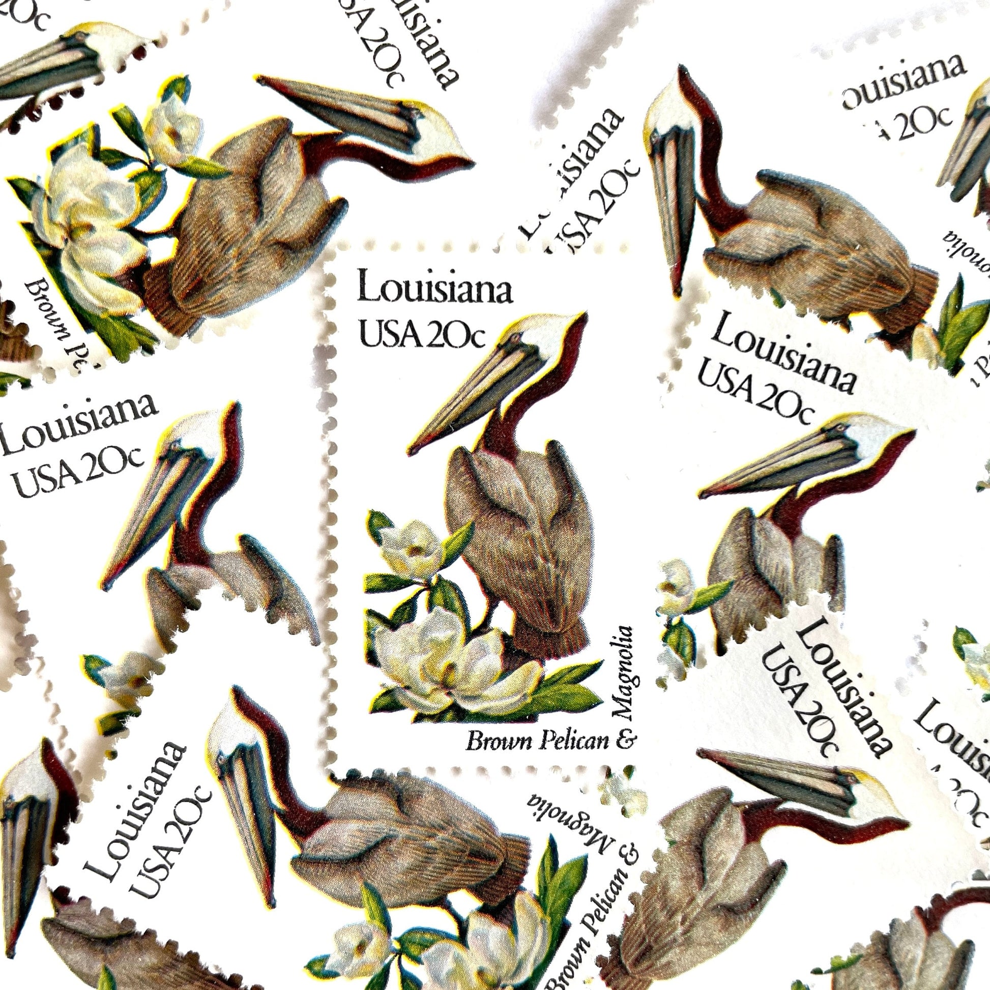 Image of Louisiana State Bird and Flower postage stamps from 1982, featuring a Brown Pelican and Magnolia on vintage unused 20-cent USPS postage, Scott 1970.