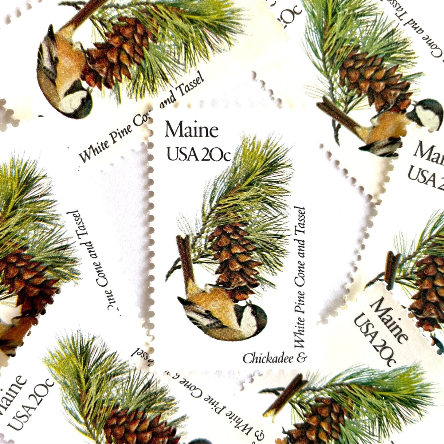 Image of Maine State Bird and Flower postage stamps from 1982, featuring a Chickadee and White Pine Cone on vintage unused 20-cent USPS postage, Scott 1971.