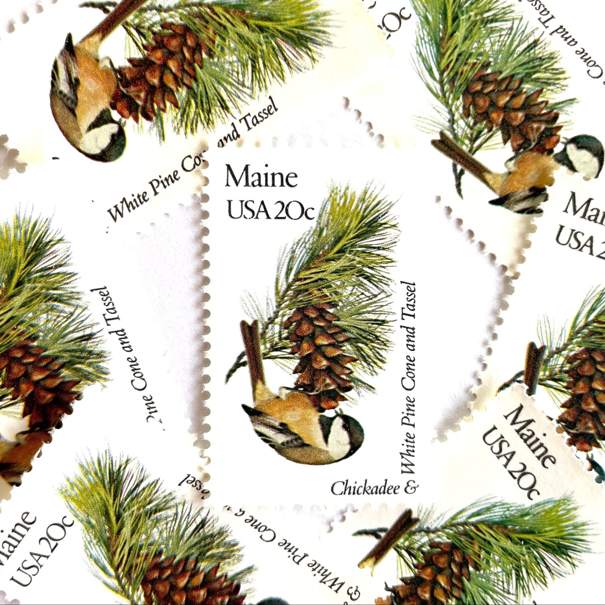 Image of Maine State Bird and Flower postage stamps from 1982, featuring a Chickadee and White Pine Cone on vintage unused 20-cent USPS postage, Scott 1971.