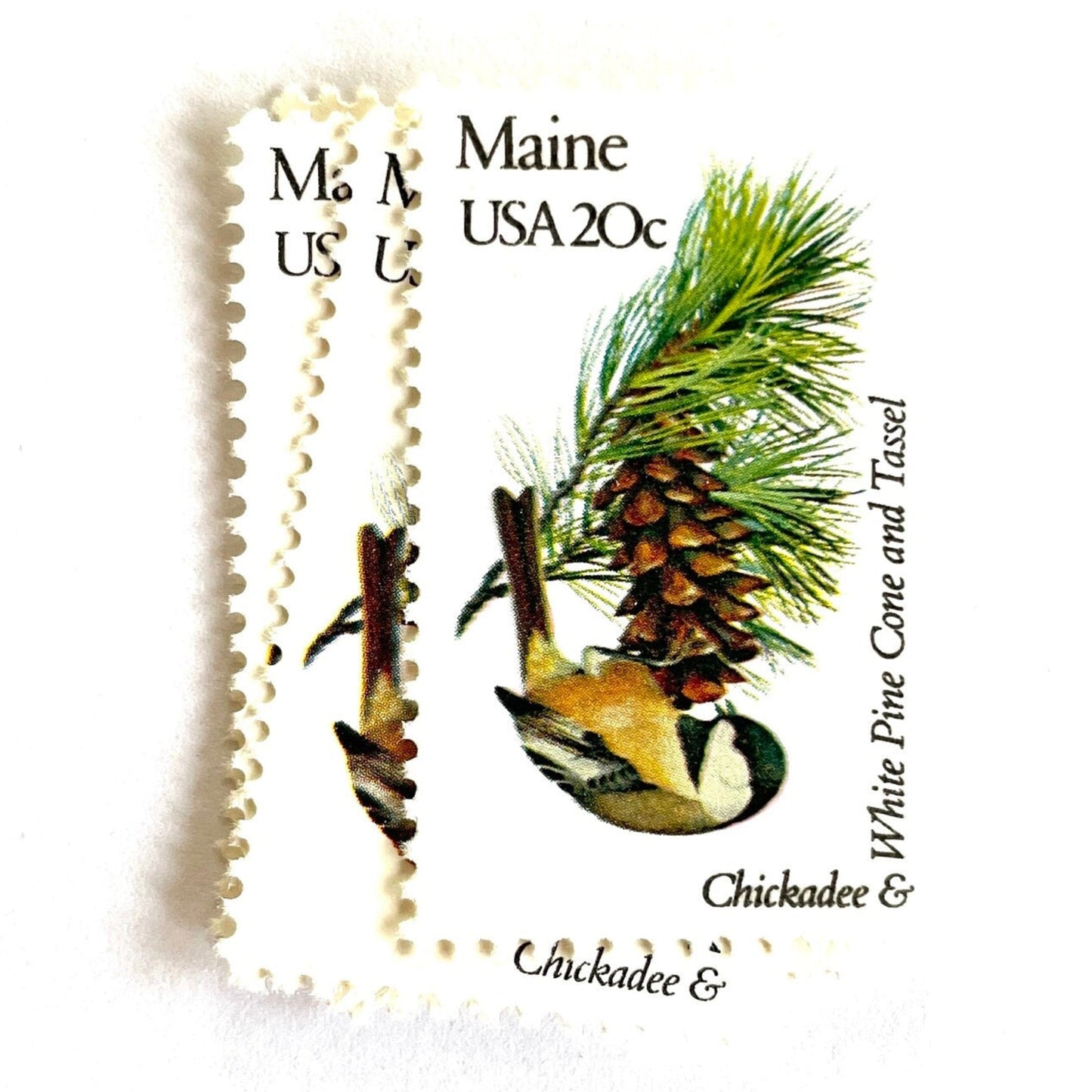Image of Maine State Bird and Flower postage stamps from 1982, featuring a Chickadee and White Pine Cone on vintage unused 20-cent USPS postage, Scott 1971.