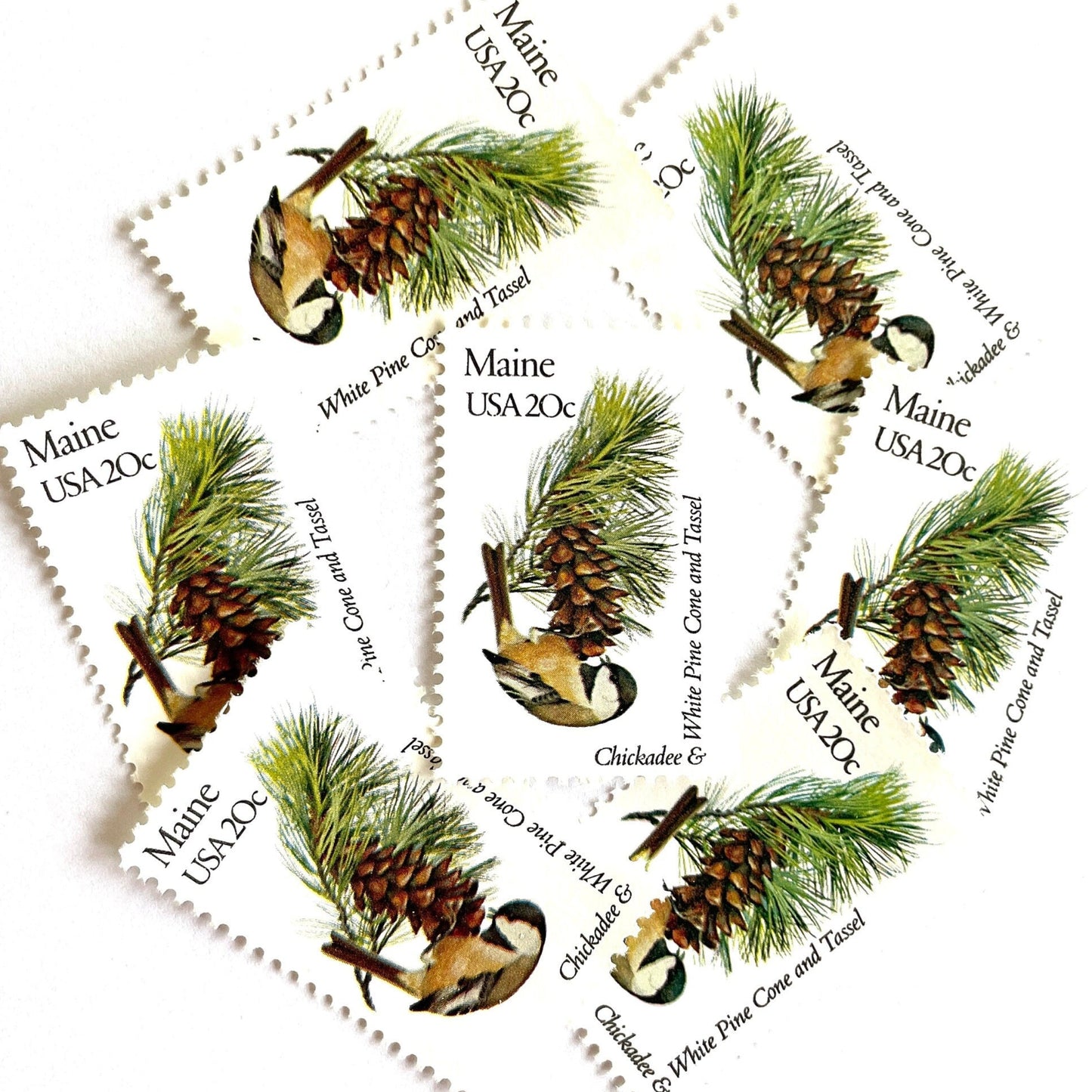 Image of Maine State Bird and Flower postage stamps from 1982, featuring a Chickadee and White Pine Cone on vintage unused 20-cent USPS postage, Scott 1971.