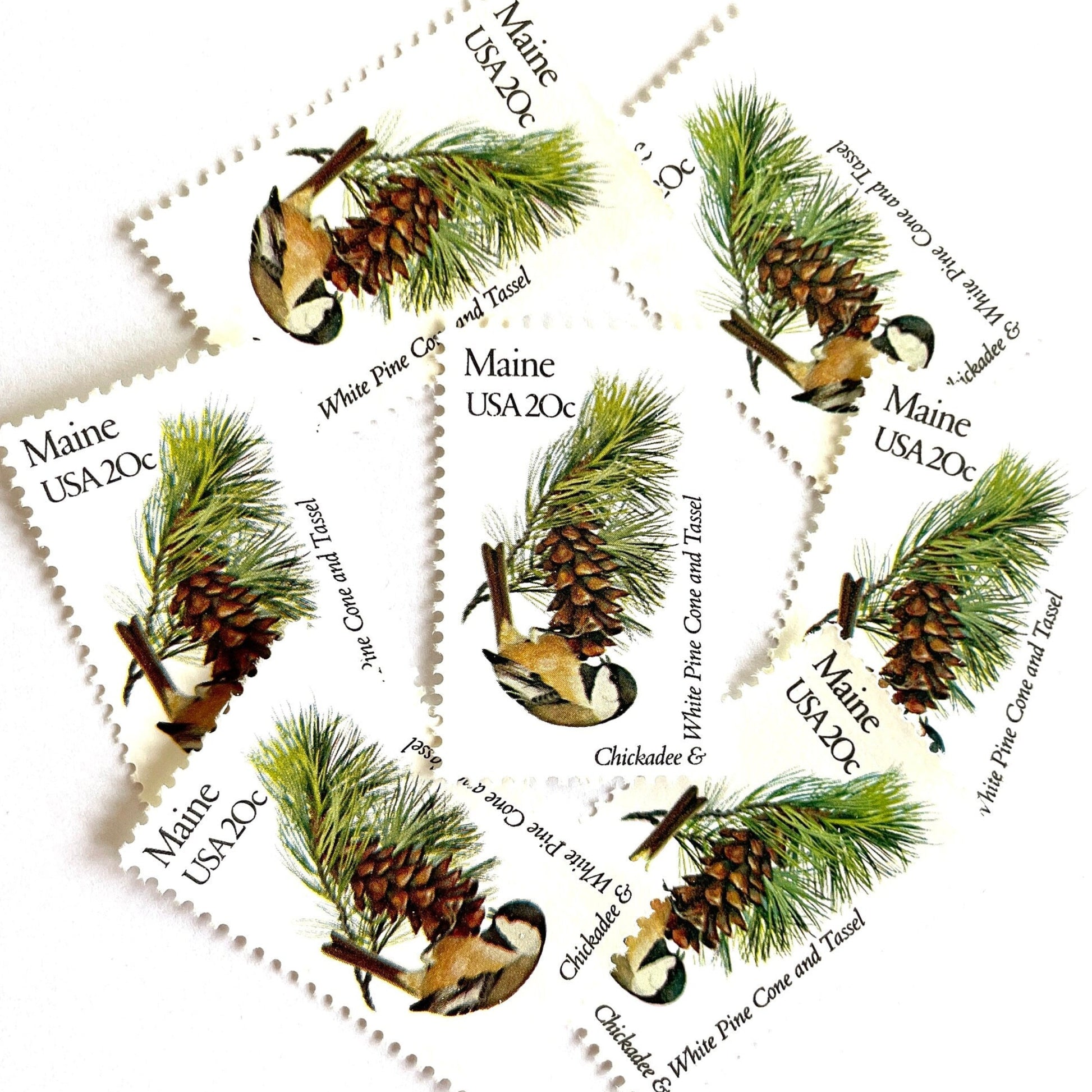 Image of Maine State Bird and Flower postage stamps from 1982, featuring a Chickadee and White Pine Cone on vintage unused 20-cent USPS postage, Scott 1971.