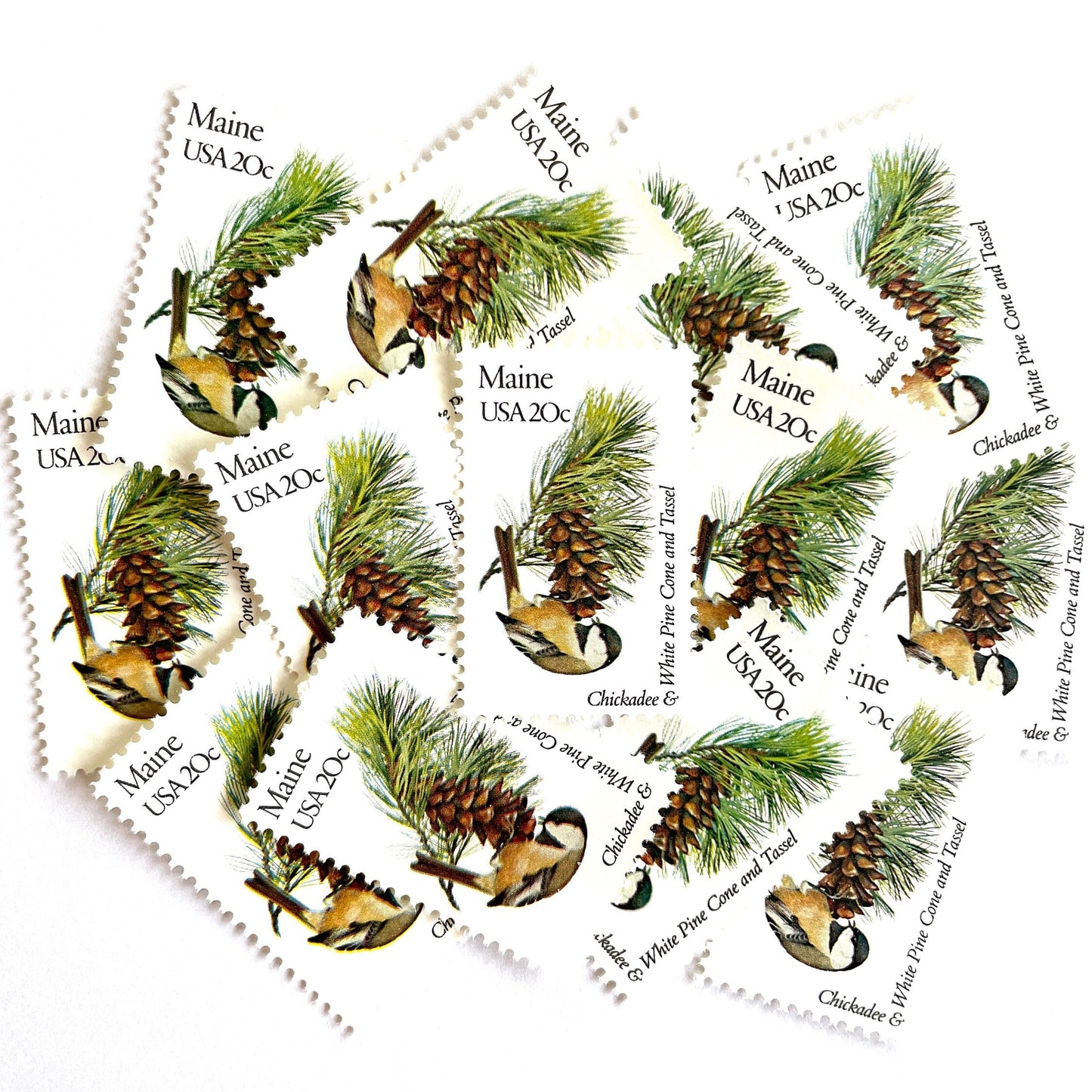 Image of Maine State Bird and Flower postage stamps from 1982, featuring a Chickadee and White Pine Cone on vintage unused 20-cent USPS postage, Scott 1971.
