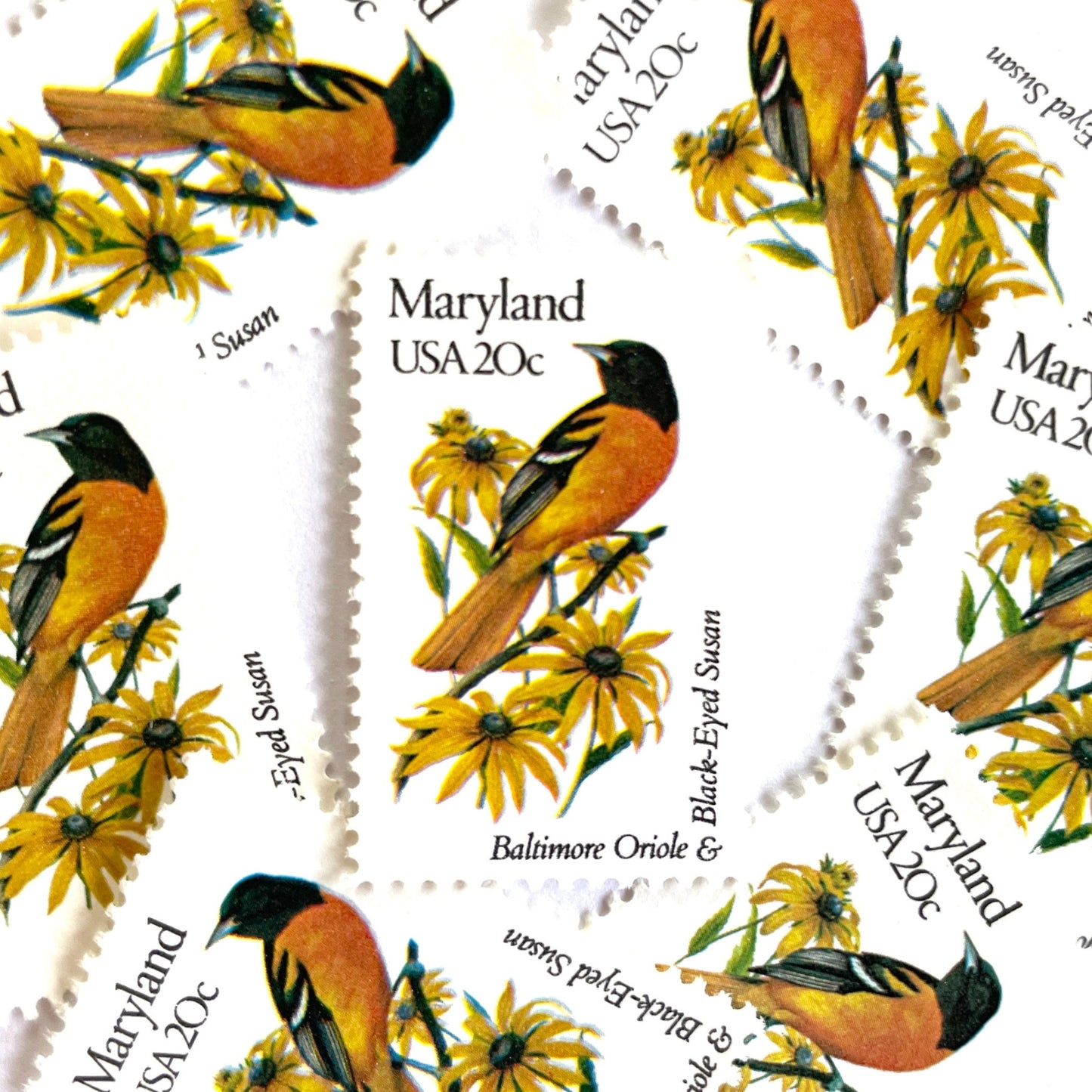 Image of Maryland State Bird and Flower postage stamps from 1982, featuring a Baltimore Oriole and Black-Eyed Susan on vintage unused 20-cent USPS postage, Scott 1972.