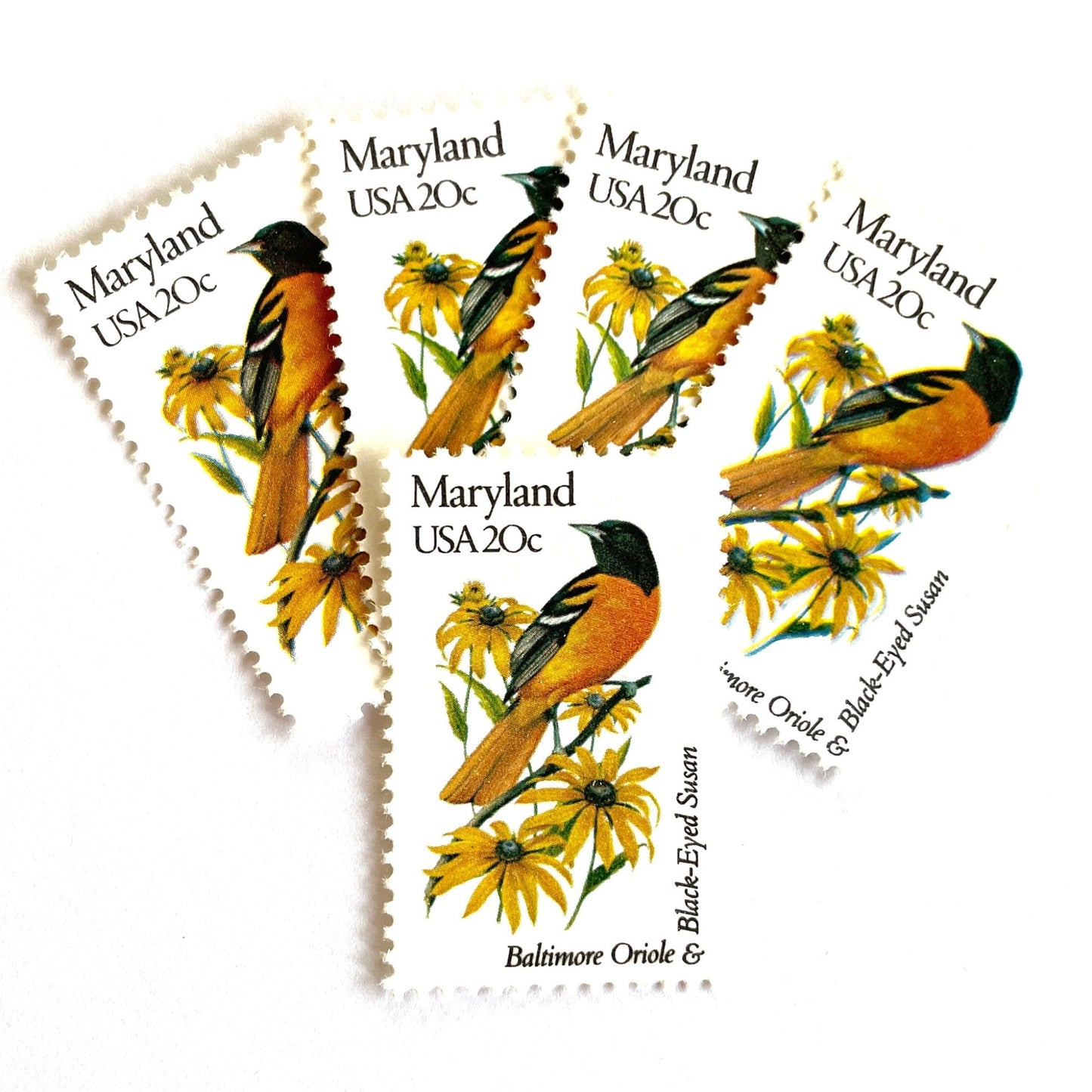 Image of Maryland State Bird and Flower postage stamps from 1982, featuring a Baltimore Oriole and Black-Eyed Susan on vintage unused 20-cent USPS postage, Scott 1972.