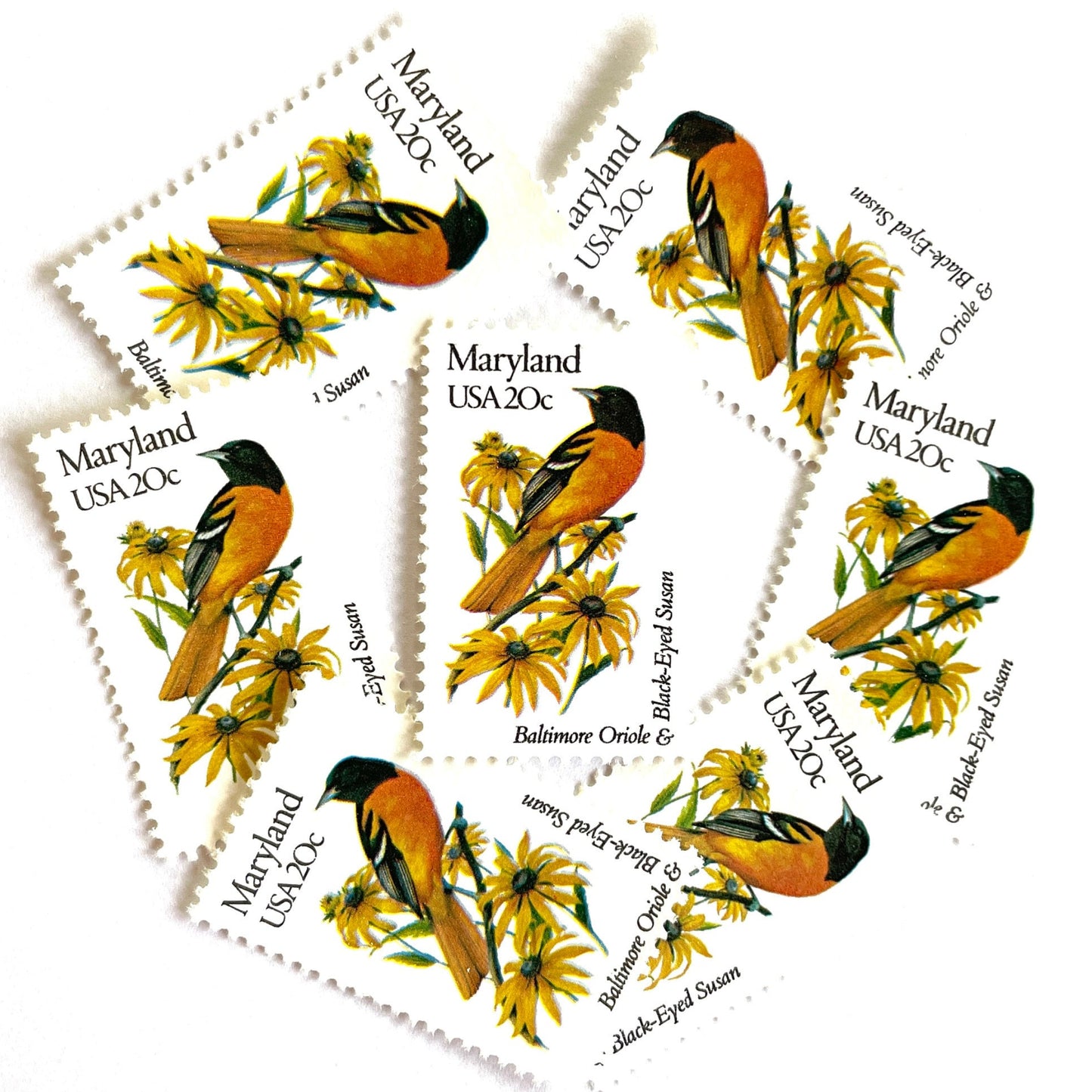 Image of Maryland State Bird and Flower postage stamps from 1982, featuring a Baltimore Oriole and Black-Eyed Susan on vintage unused 20-cent USPS postage, Scott 1972.