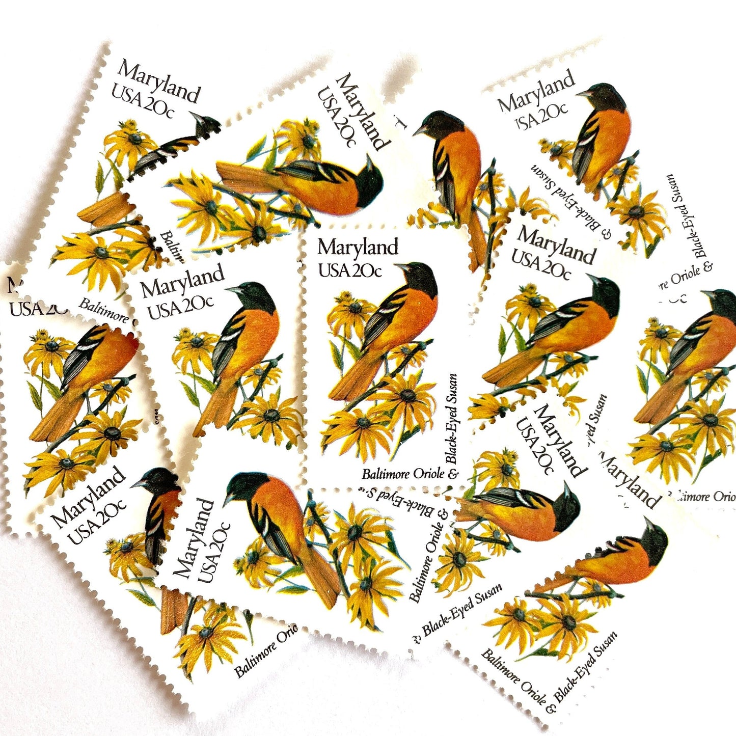 Image of Maryland State Bird and Flower postage stamps from 1982, featuring a Baltimore Oriole and Black-Eyed Susan on vintage unused 20-cent USPS postage, Scott 1972.