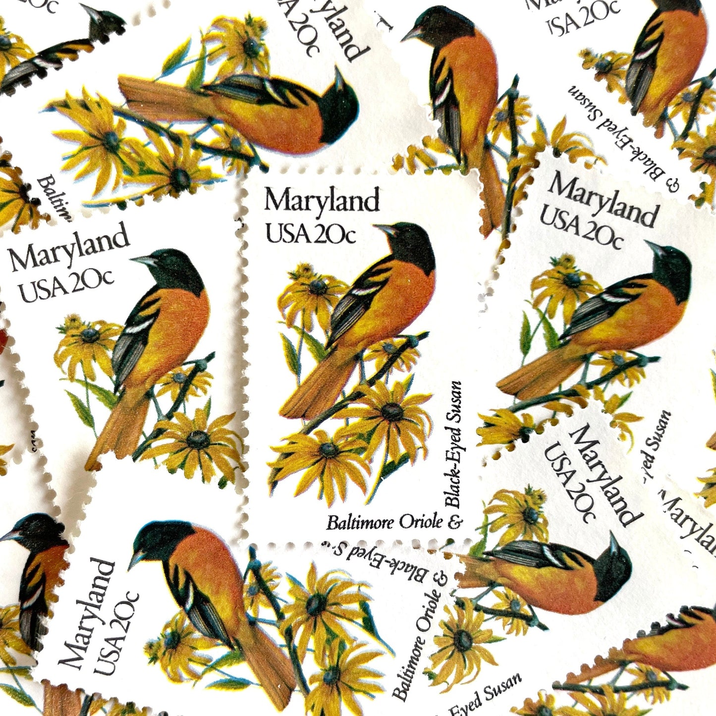Image of Maryland State Bird and Flower postage stamps from 1982, featuring a Baltimore Oriole and Black-Eyed Susan on vintage unused 20-cent USPS postage, Scott 1972.
