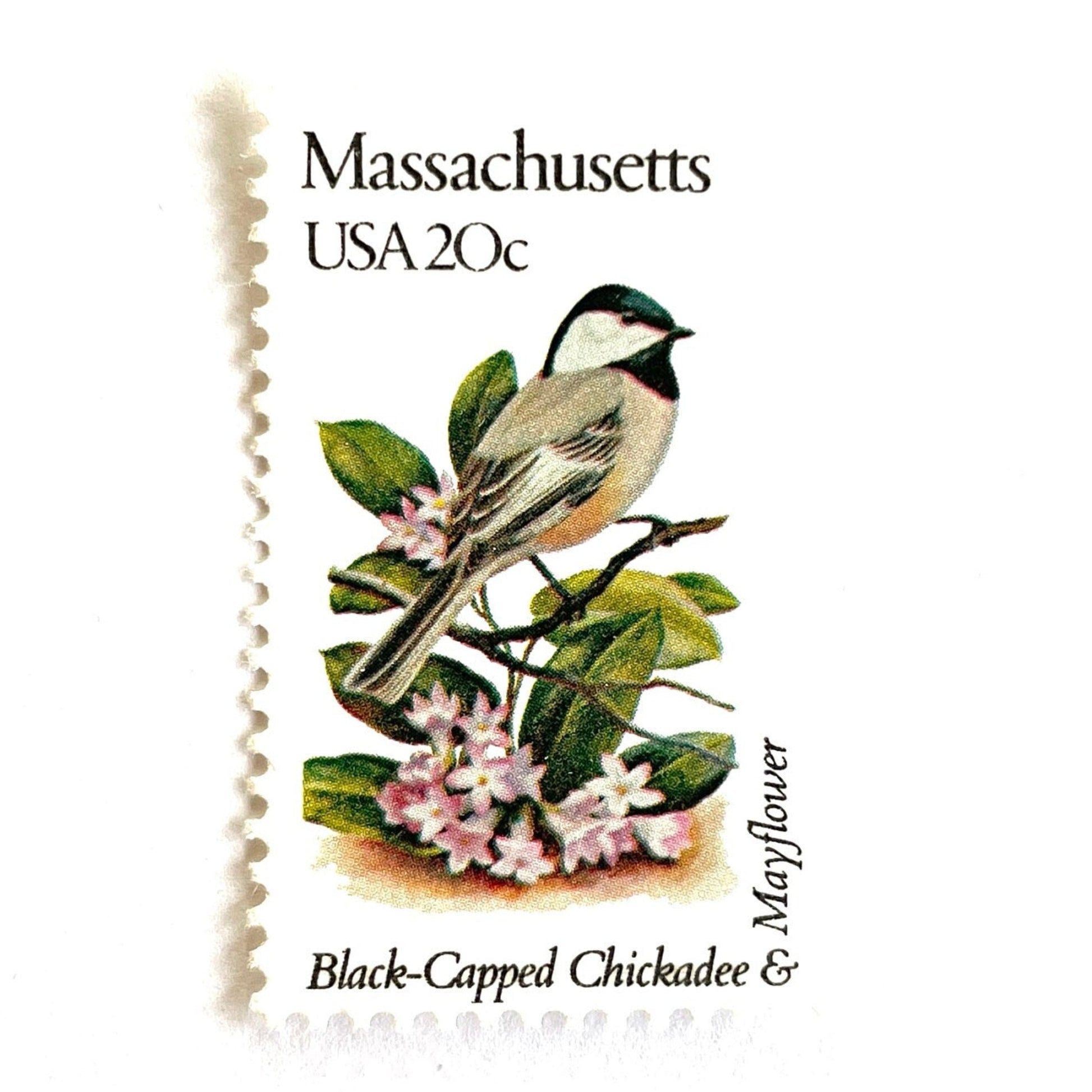 Image of Massachusetts State Bird and Flower postage stamps from 1982, featuring a Black-Capped Chickadee and Mayflower on vintage unused 20-cent USPS postage, Scott 1973.