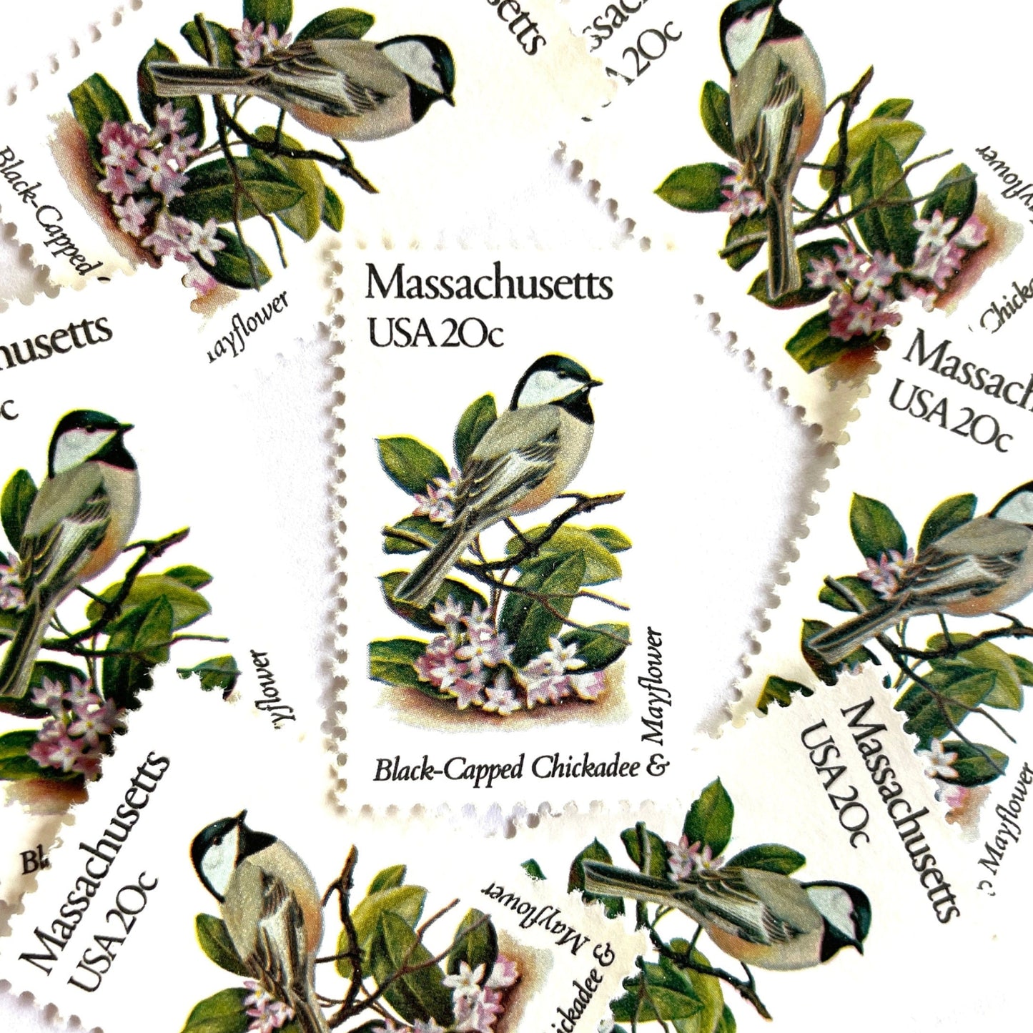 Image of Massachusetts State Bird and Flower postage stamps from 1982, featuring a Black-Capped Chickadee and Mayflower on vintage unused 20-cent USPS postage, Scott 1973.