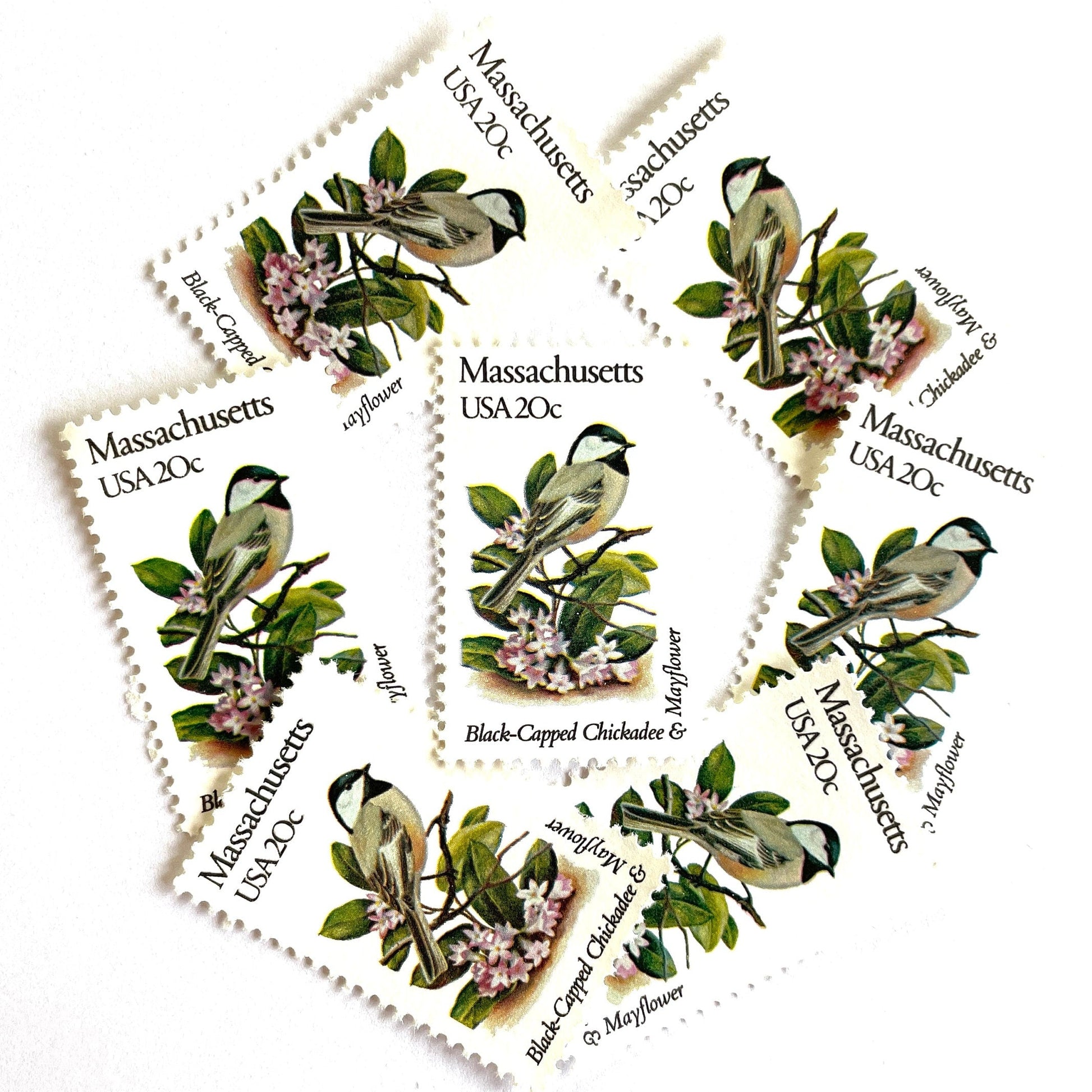 Image of Massachusetts State Bird and Flower postage stamps from 1982, featuring a Black-Capped Chickadee and Mayflower on vintage unused 20-cent USPS postage, Scott 1973.
