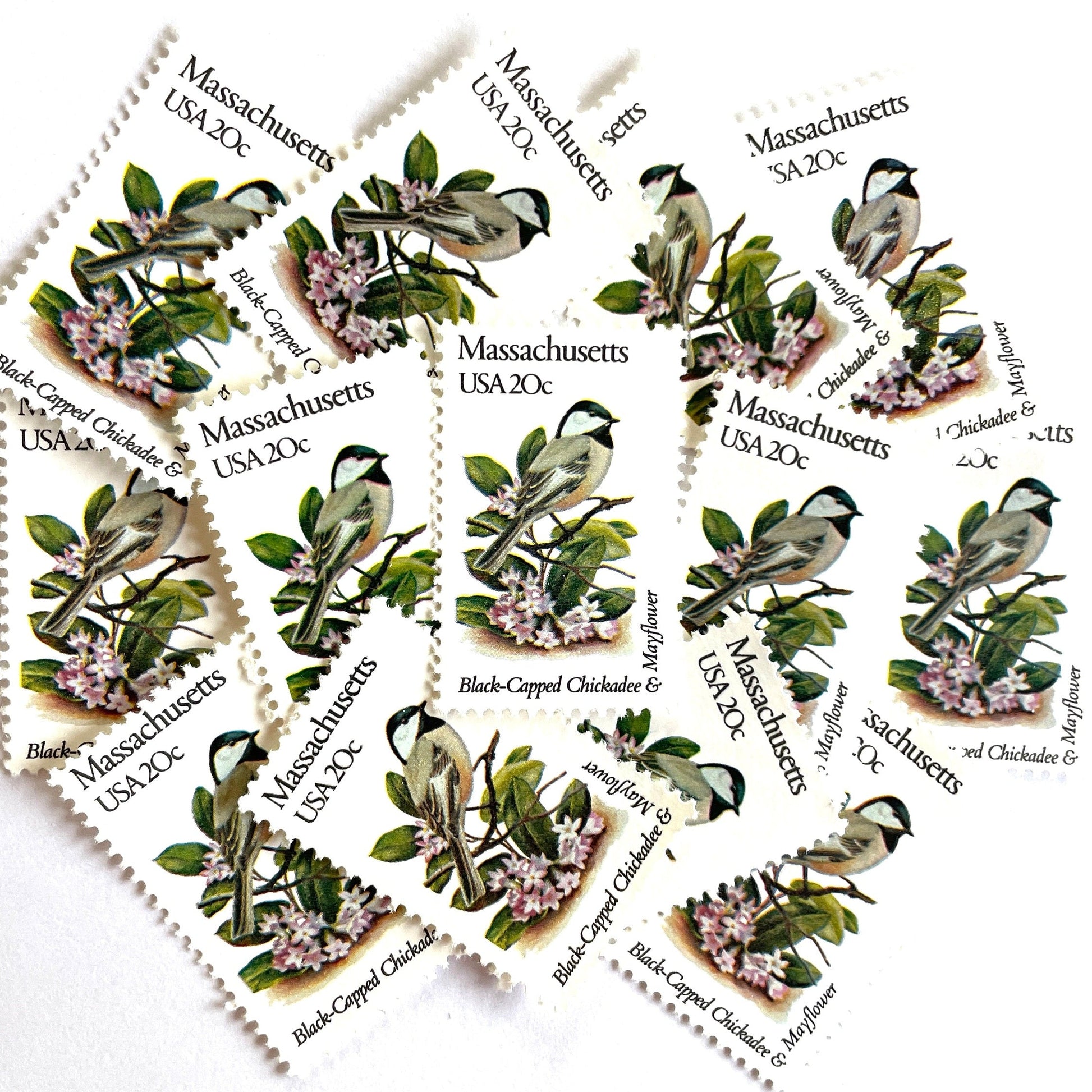 Image of Massachusetts State Bird and Flower postage stamps from 1982, featuring a Black-Capped Chickadee and Mayflower on vintage unused 20-cent USPS postage, Scott 1973.