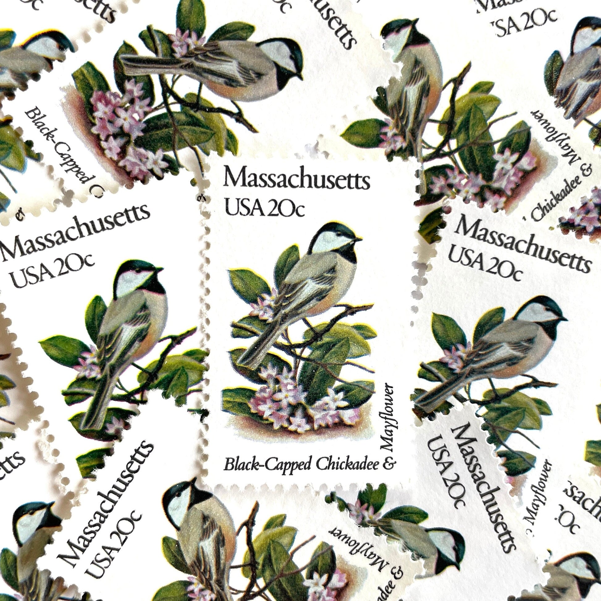 Image of Massachusetts State Bird and Flower postage stamps from 1982, featuring a Black-Capped Chickadee and Mayflower on vintage unused 20-cent USPS postage, Scott 1973.
