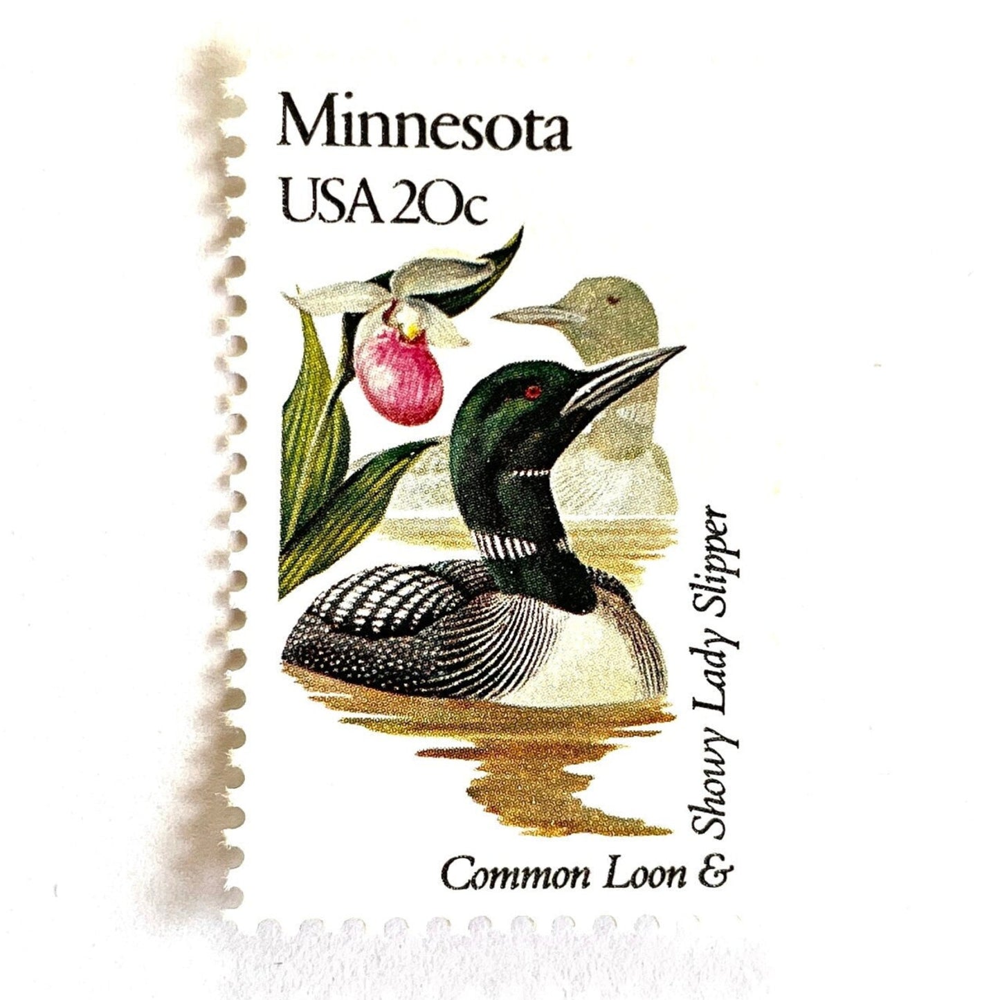 Image of Minnesota State Bird and Flower postage stamps from 1982, featuring a Common Loon and Pink and White Lady’s Slipper on vintage unused 20-cent USPS postage, Scott 1975.