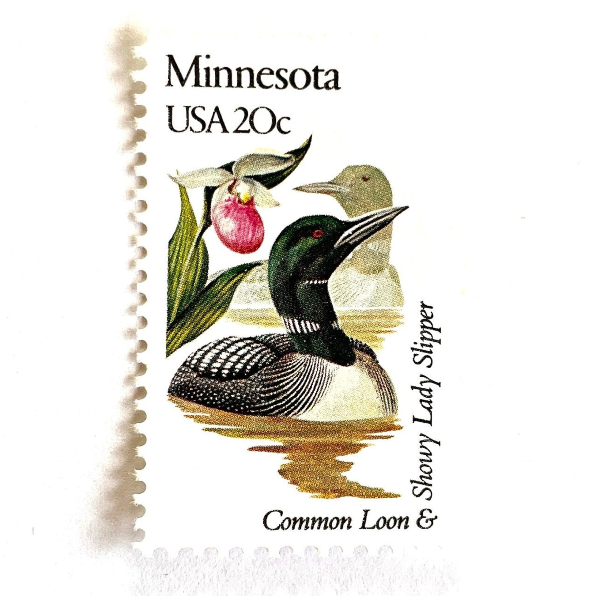 Image of Minnesota State Bird and Flower postage stamps from 1982, featuring a Common Loon and Pink and White Lady’s Slipper on vintage unused 20-cent USPS postage, Scott 1975.