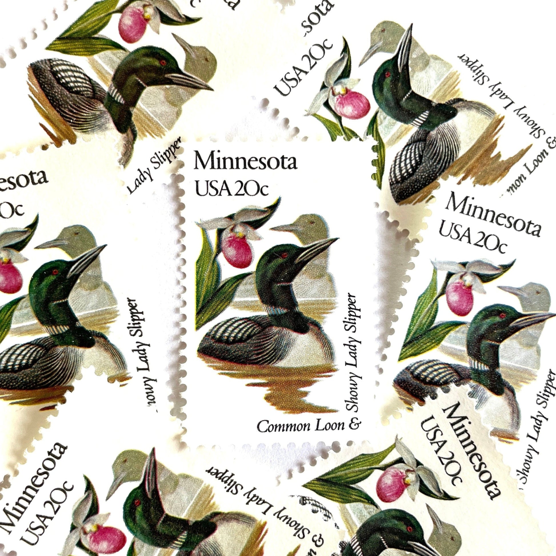 Image of Minnesota State Bird and Flower postage stamps from 1982, featuring a Common Loon and Pink and White Lady’s Slipper on vintage unused 20-cent USPS postage, Scott 1975.