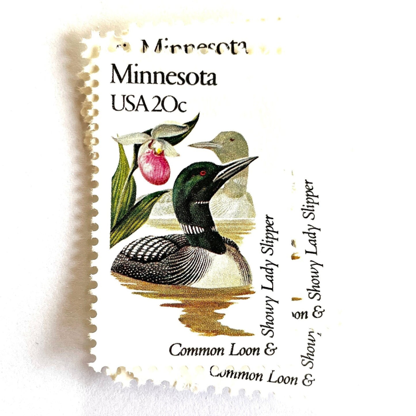 Image of Minnesota State Bird and Flower postage stamps from 1982, featuring a Common Loon and Pink and White Lady’s Slipper on vintage unused 20-cent USPS postage, Scott 1975.