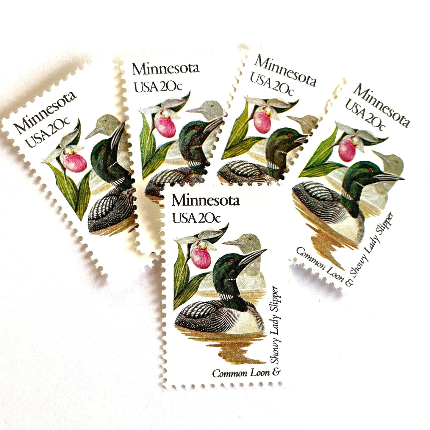 Image of Minnesota State Bird and Flower postage stamps from 1982, featuring a Common Loon and Pink and White Lady’s Slipper on vintage unused 20-cent USPS postage, Scott 1975.