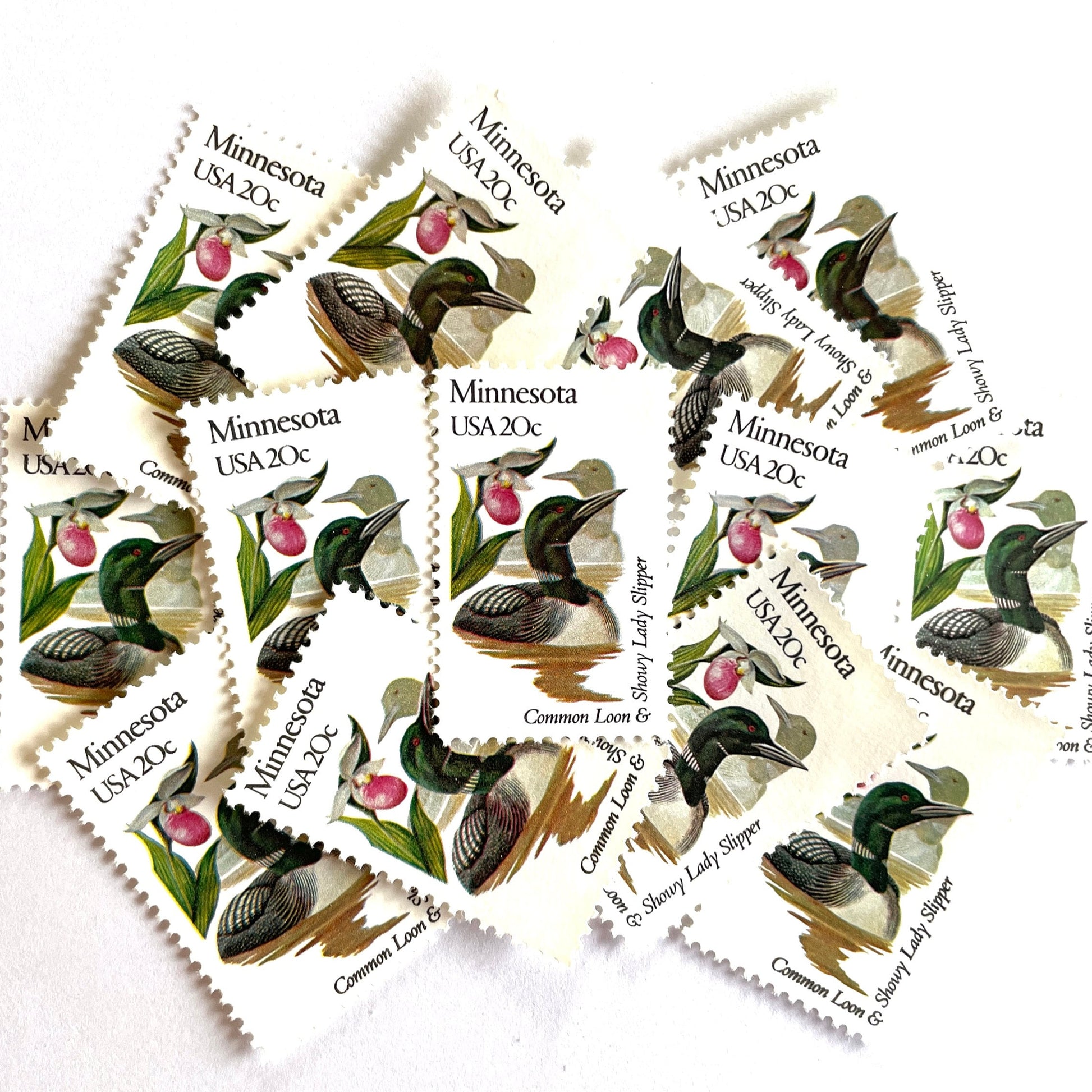 Image of Minnesota State Bird and Flower postage stamps from 1982, featuring a Common Loon and Pink and White Lady’s Slipper on vintage unused 20-cent USPS postage, Scott 1975.