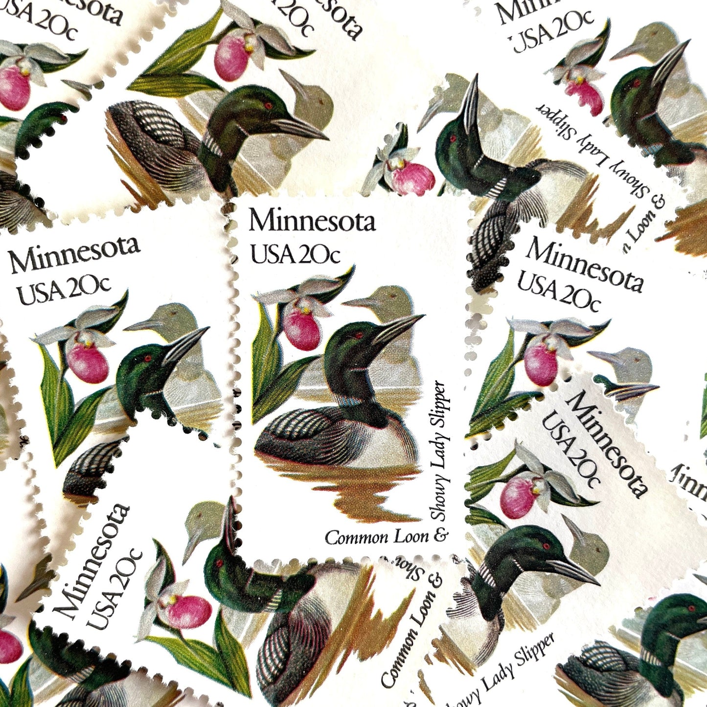 Image of Minnesota State Bird and Flower postage stamps from 1982, featuring a Common Loon and Pink and White Lady’s Slipper on vintage unused 20-cent USPS postage, Scott 1975.