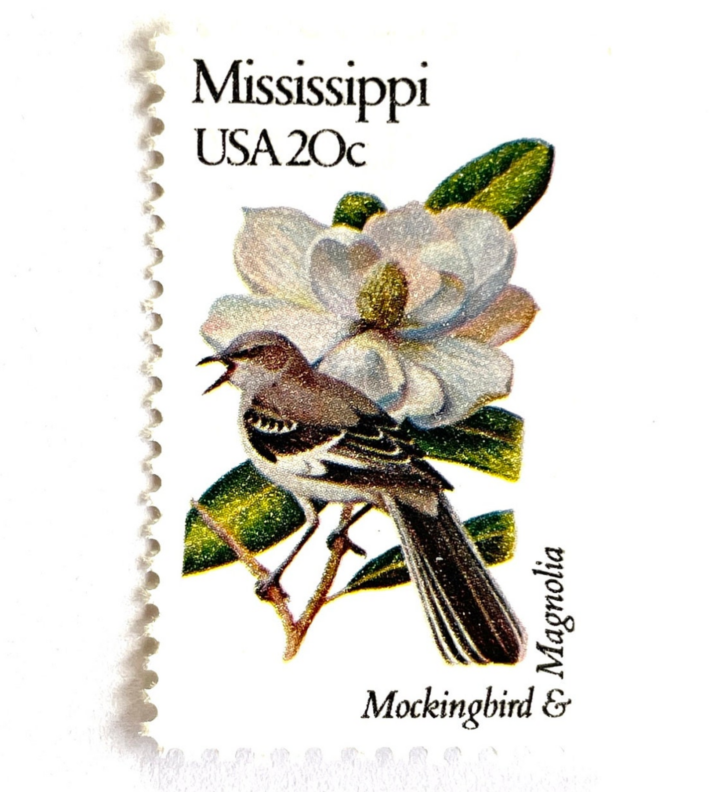 Image of 1982 State Birds & Flowers Mississippi (Mockingbird & Magnolia) 20 cent stamps. Scott #1976. Stamp themes: Birds, Aviary, Flowers, Flora, White Flower, Mississippi State Bird, Mississippi State Flower. White postage stamp.