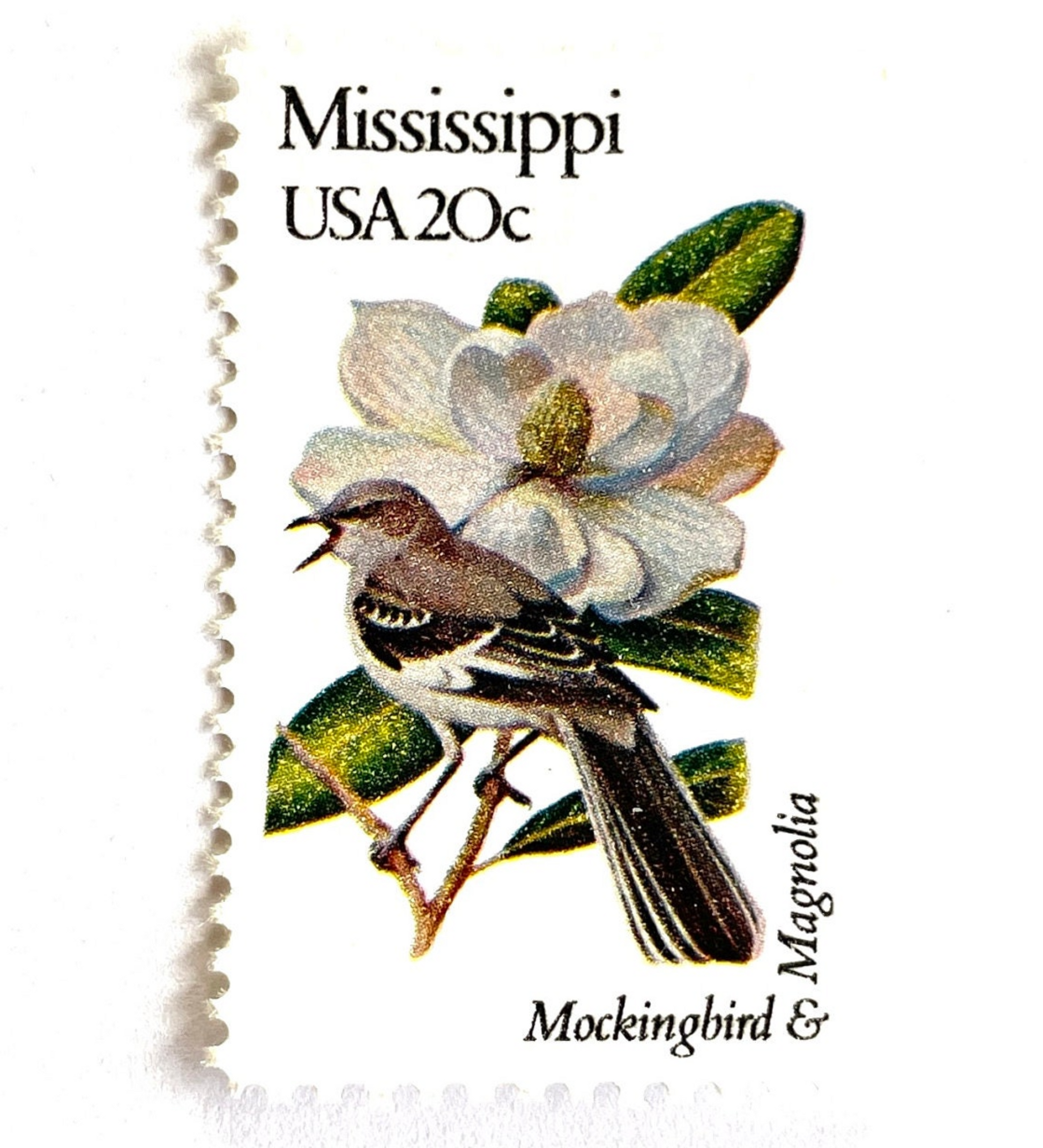 Image of 1982 State Birds & Flowers Mississippi (Mockingbird & Magnolia) 20 cent stamps. Scott #1976. Stamp themes: Birds, Aviary, Flowers, Flora, White Flower, Mississippi State Bird, Mississippi State Flower. White postage stamp.