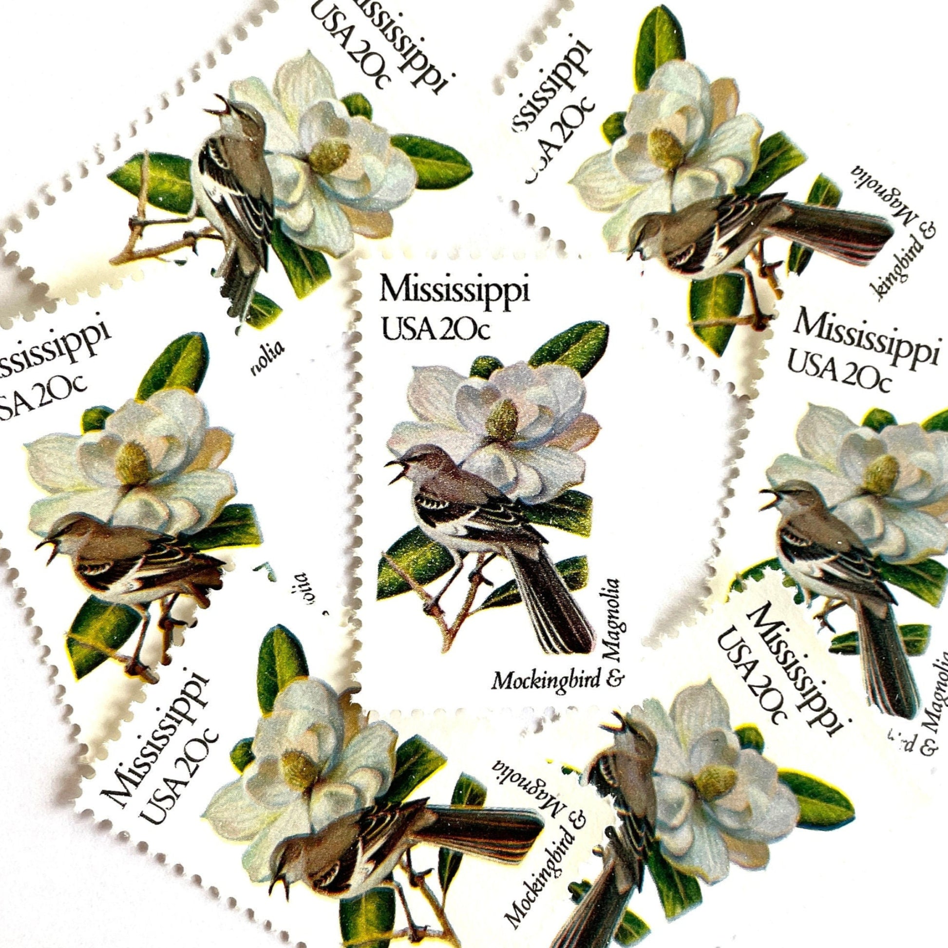 Image of 1982 State Birds & Flowers Mississippi (Mockingbird & Magnolia) 20 cent stamps. Scott #1976. Stamp themes: Birds, Aviary, Flowers, Flora, White Flower, Mississippi State Bird, Mississippi State Flower. White postage stamp.