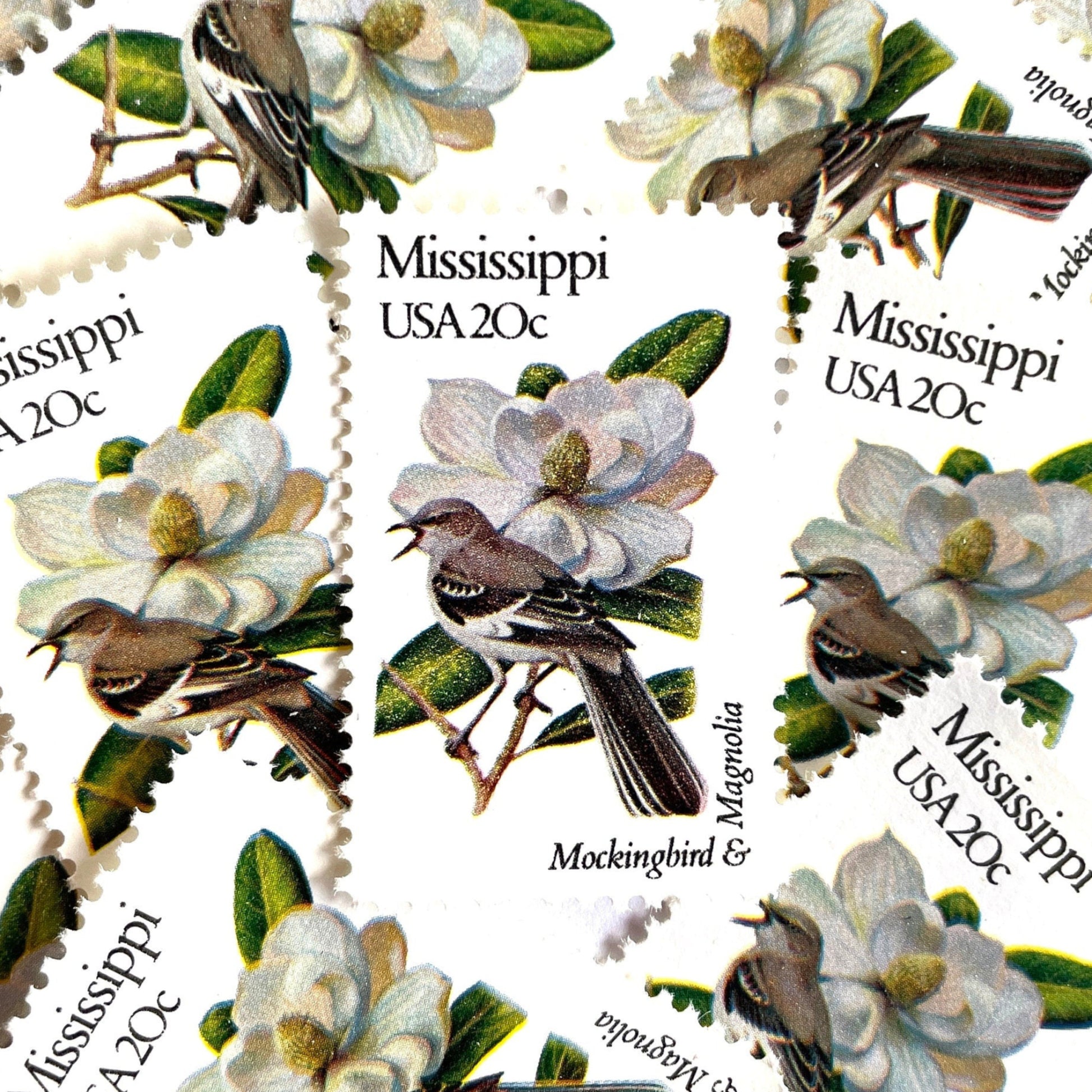 Image of 1982 State Birds & Flowers Mississippi (Mockingbird & Magnolia) 20 cent stamps. Scott #1976. Stamp themes: Birds, Aviary, Flowers, Flora, White Flower, Mississippi State Bird, Mississippi State Flower. White postage stamp.