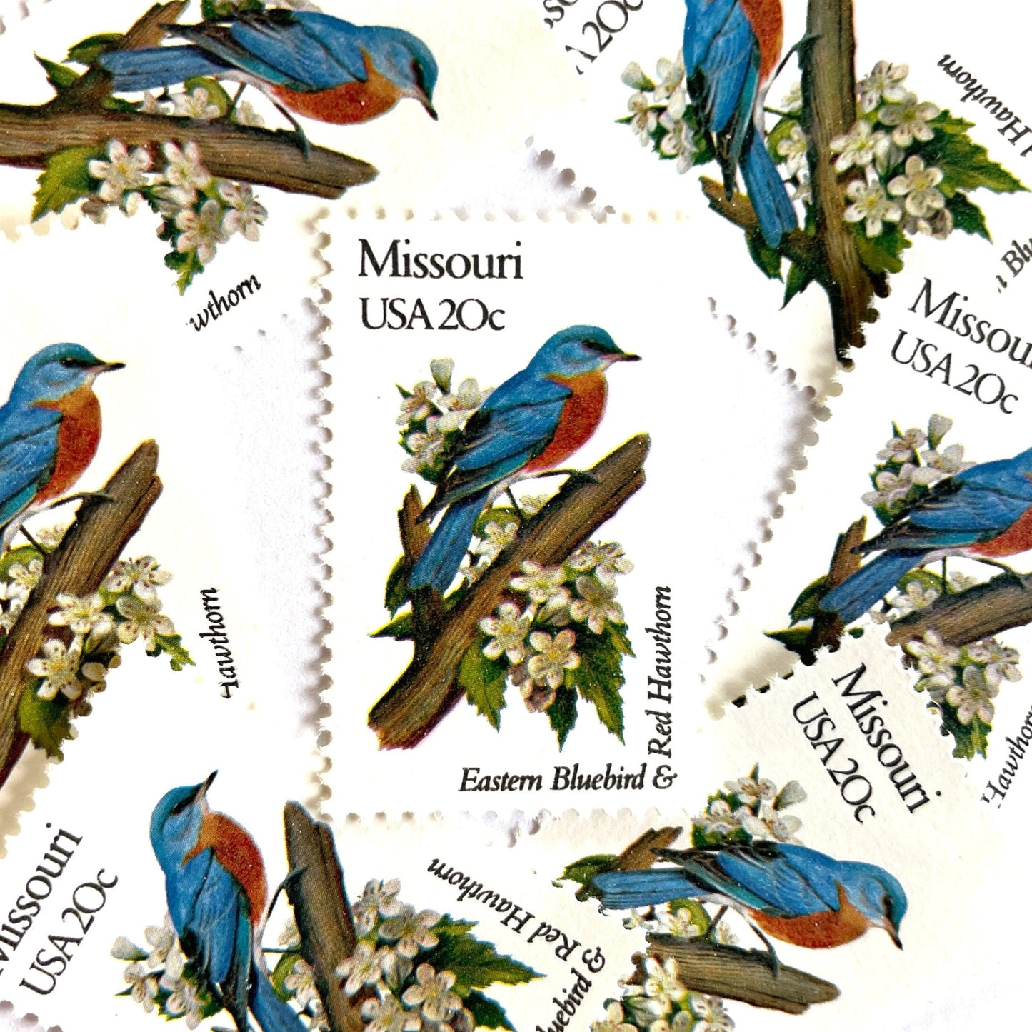 Image of Missouri State Bird and Flower postage stamps from 1982, featuring a Bluebird and Hawthorn Blossom on vintage unused 20-cent USPS postage, Scott 1977.