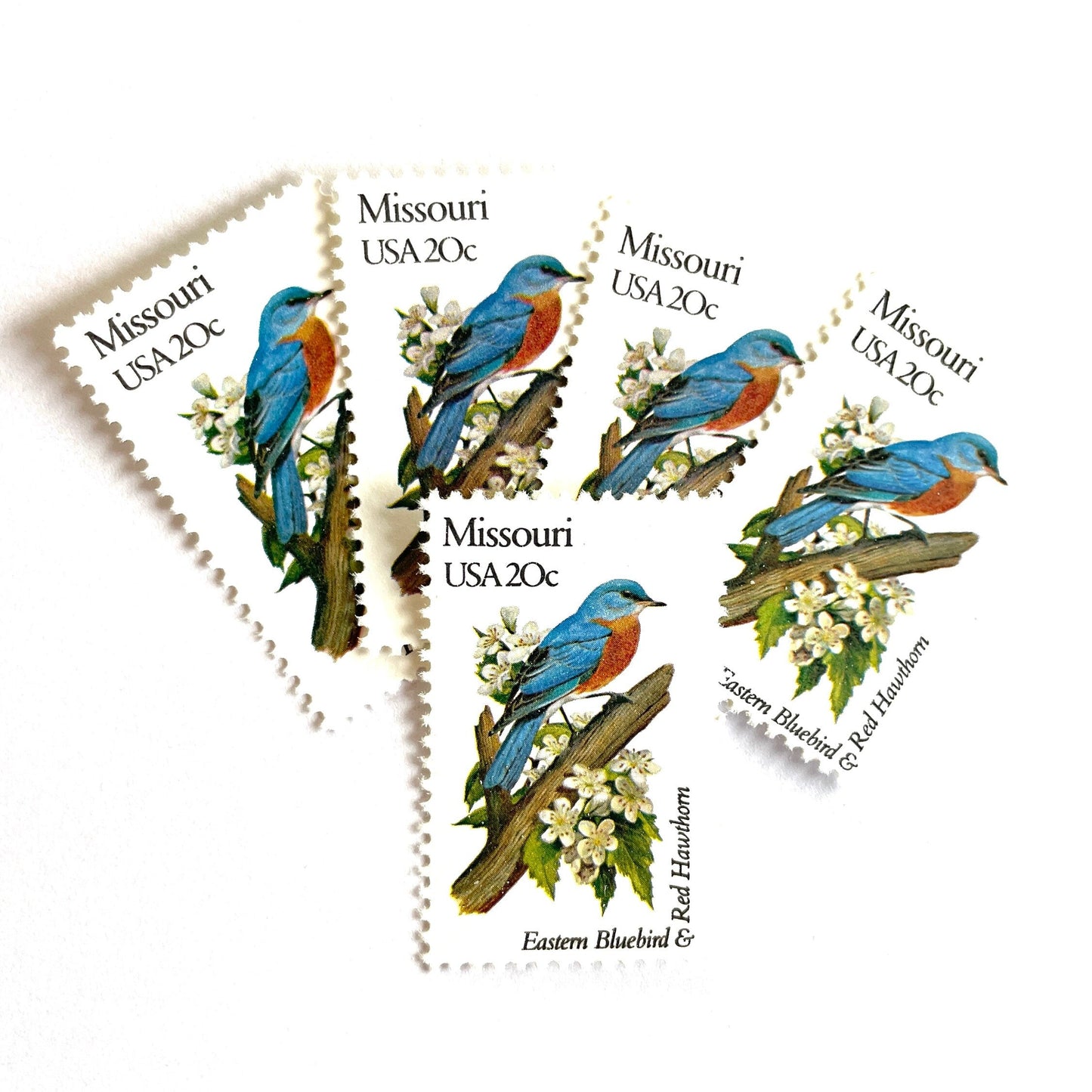 Image of Missouri State Bird and Flower postage stamps from 1982, featuring a Bluebird and Hawthorn Blossom on vintage unused 20-cent USPS postage, Scott 1977.