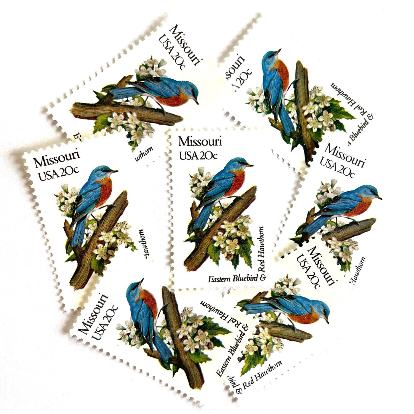 Image of Missouri State Bird and Flower postage stamps from 1982, featuring a Bluebird and Hawthorn Blossom on vintage unused 20-cent USPS postage, Scott 1977.