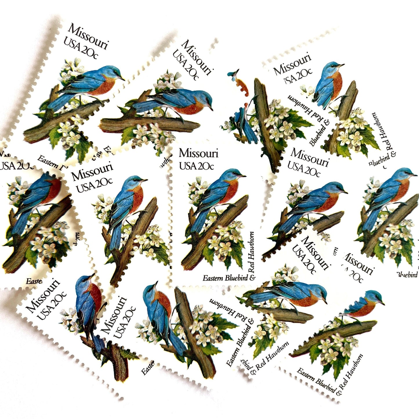 Image of Missouri State Bird and Flower postage stamps from 1982, featuring a Bluebird and Hawthorn Blossom on vintage unused 20-cent USPS postage, Scott 1977.