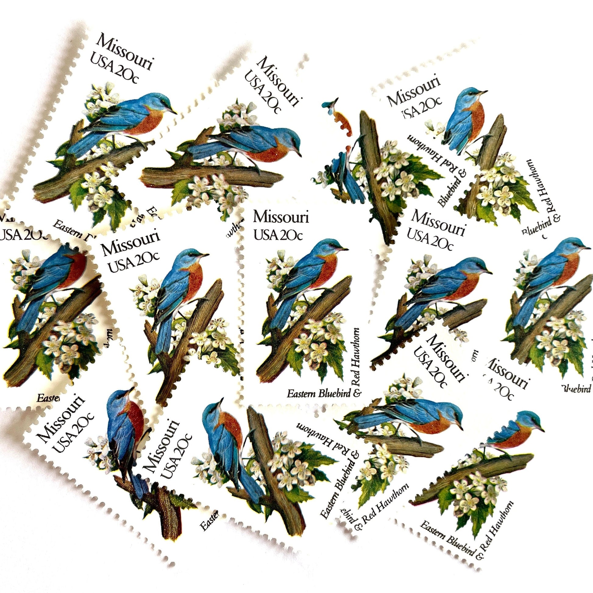 Image of Missouri State Bird and Flower postage stamps from 1982, featuring a Bluebird and Hawthorn Blossom on vintage unused 20-cent USPS postage, Scott 1977.