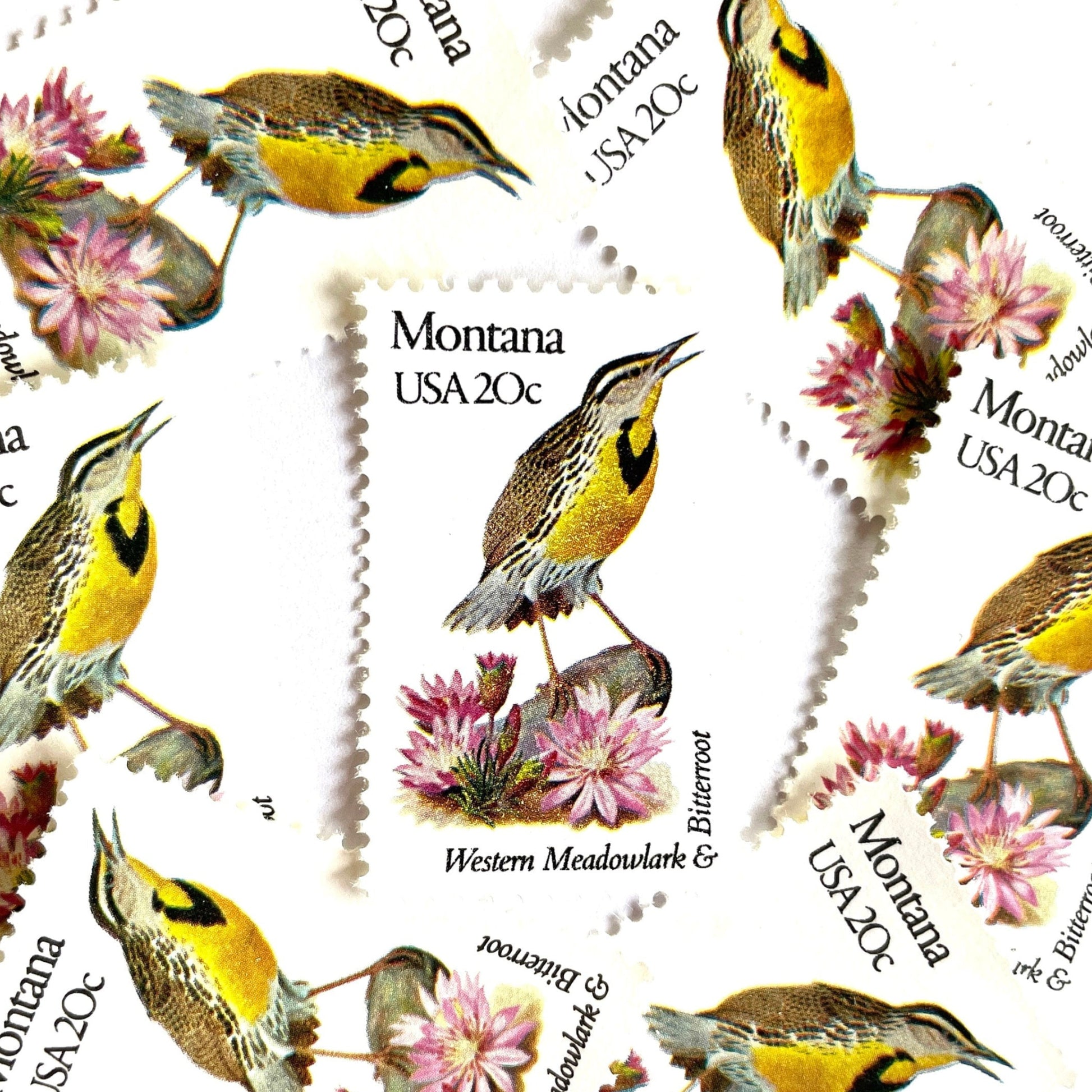 Image of Montana State Bird and Flower postage stamps from 1982, featuring a Western Meadowlark and Bitterroot on vintage unused 20-cent USPS postage, Scott 1978.