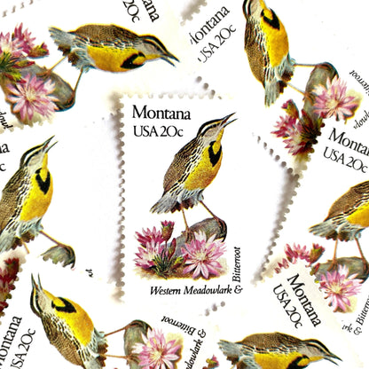 Image of Montana State Bird and Flower postage stamps from 1982, featuring a Western Meadowlark and Bitterroot on vintage unused 20-cent USPS postage, Scott 1978.