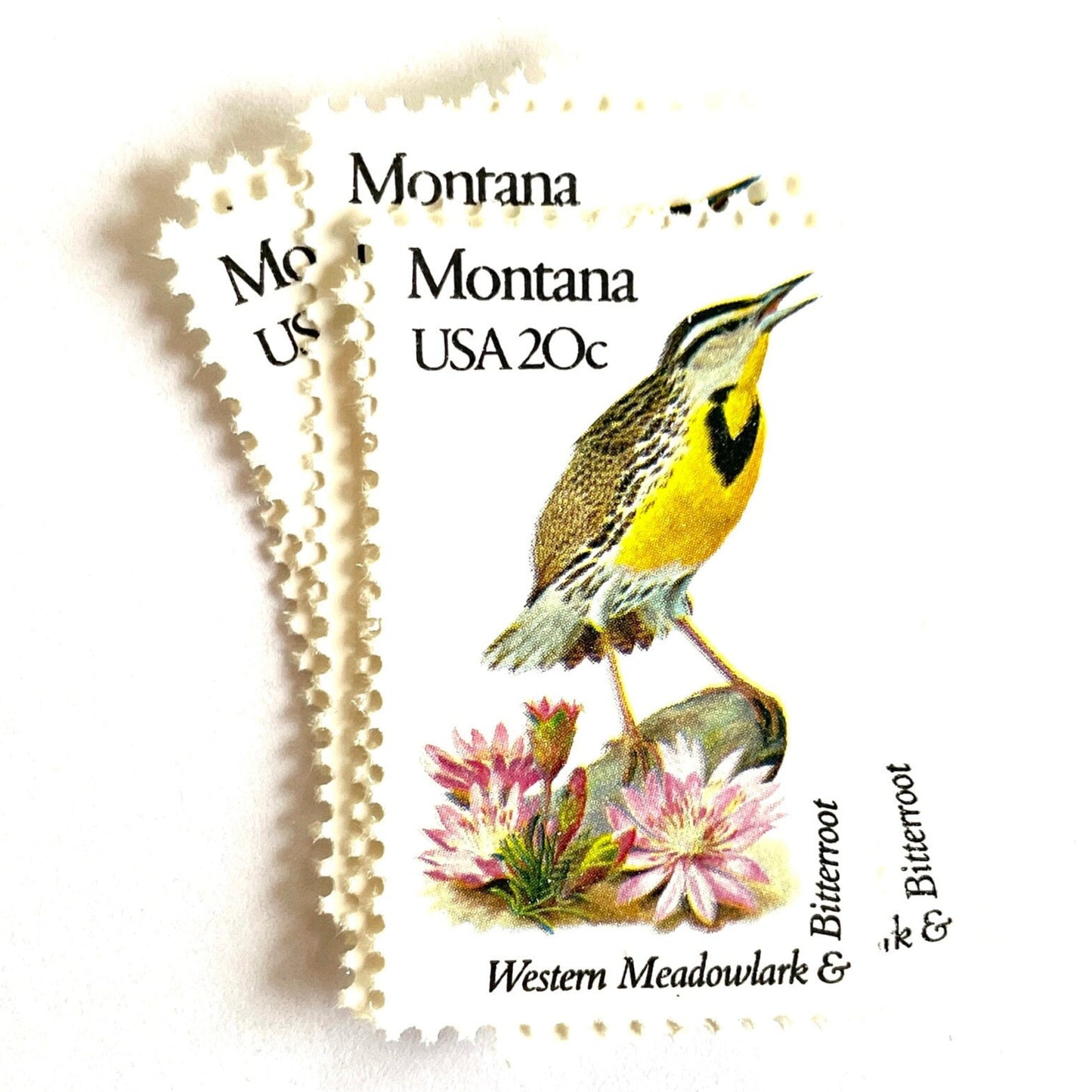 Image of Montana State Bird and Flower postage stamps from 1982, featuring a Western Meadowlark and Bitterroot on vintage unused 20-cent USPS postage, Scott 1978.
