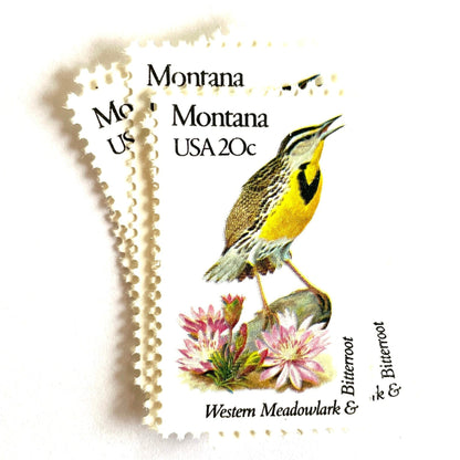 Image of Montana State Bird and Flower postage stamps from 1982, featuring a Western Meadowlark and Bitterroot on vintage unused 20-cent USPS postage, Scott 1978.
