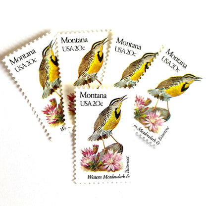 Image of Montana State Bird and Flower postage stamps from 1982, featuring a Western Meadowlark and Bitterroot on vintage unused 20-cent USPS postage, Scott 1978.