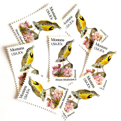 Image of Montana State Bird and Flower postage stamps from 1982, featuring a Western Meadowlark and Bitterroot on vintage unused 20-cent USPS postage, Scott 1978.