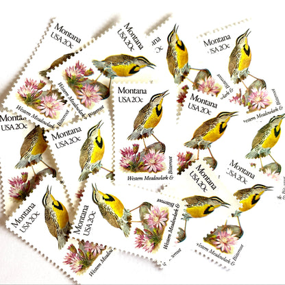 Image of Montana State Bird and Flower postage stamps from 1982, featuring a Western Meadowlark and Bitterroot on vintage unused 20-cent USPS postage, Scott 1978.