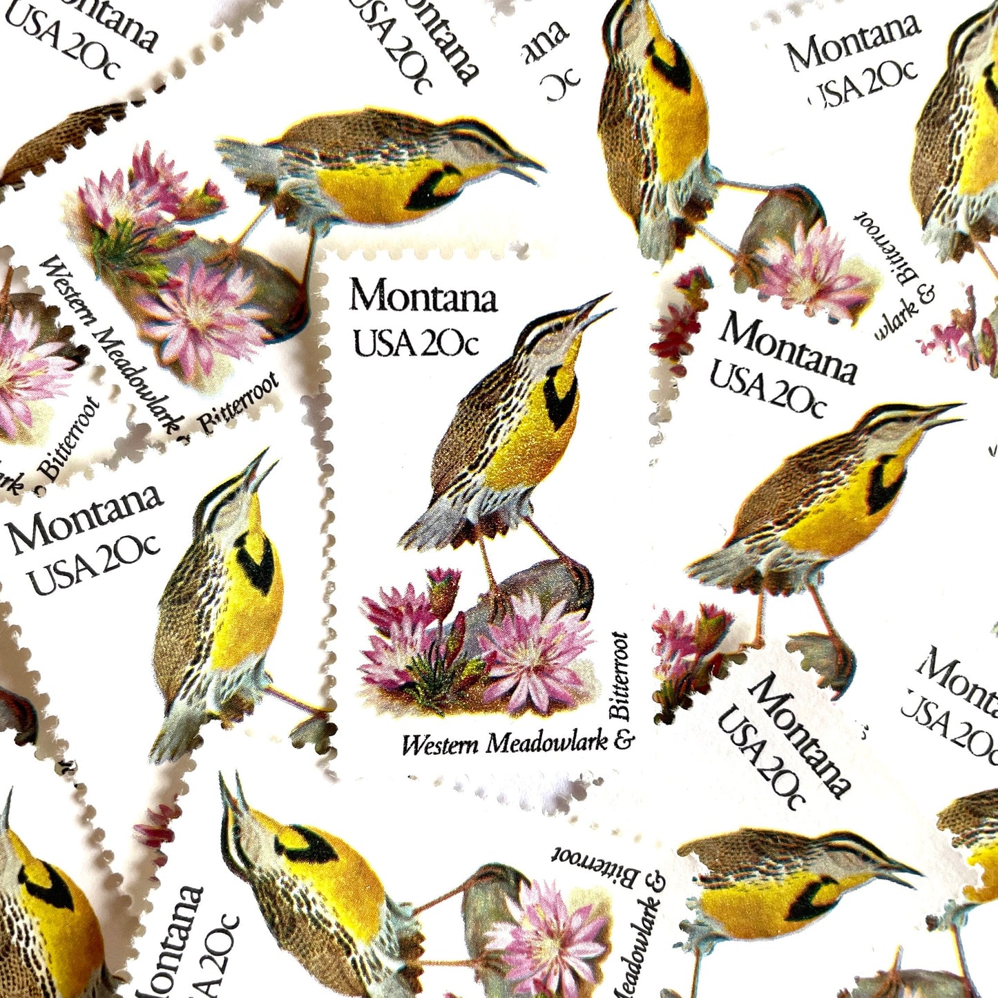 Image of Montana State Bird and Flower postage stamps from 1982, featuring a Western Meadowlark and Bitterroot on vintage unused 20-cent USPS postage, Scott 1978.