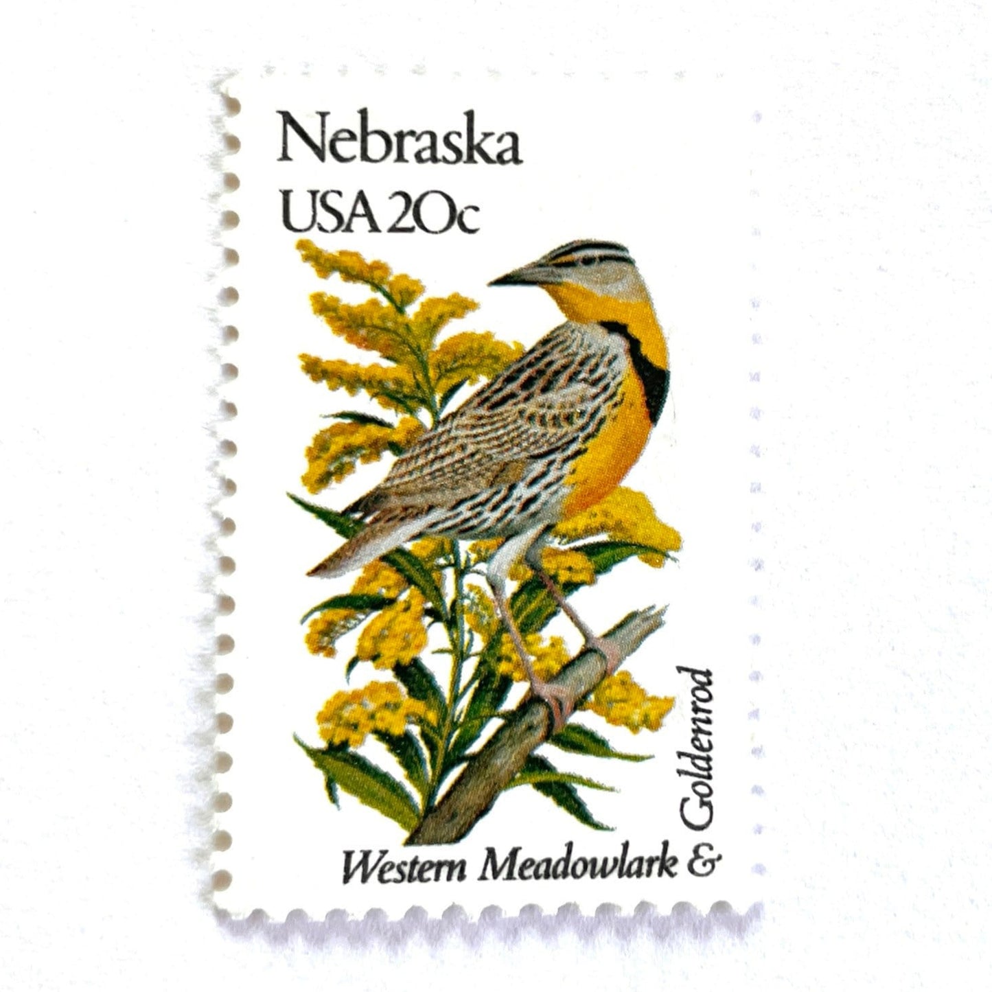 Image of Nebraska State Bird and Flower postage stamps from 1982, featuring a Western Meadowlark and Goldenrod on vintage unused 20-cent USPS postage, Scott 1979.