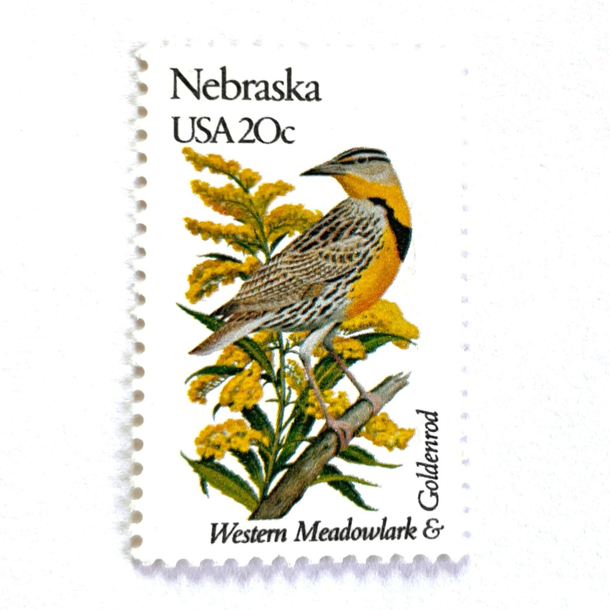 Image of Nebraska State Bird and Flower postage stamps from 1982, featuring a Western Meadowlark and Goldenrod on vintage unused 20-cent USPS postage, Scott 1979.
