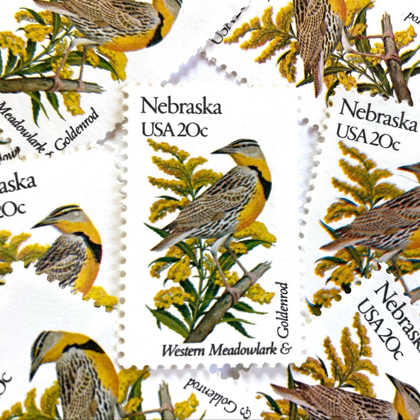 Image of Nebraska State Bird and Flower postage stamps from 1982, featuring a Western Meadowlark and Goldenrod on vintage unused 20-cent USPS postage, Scott 1979.