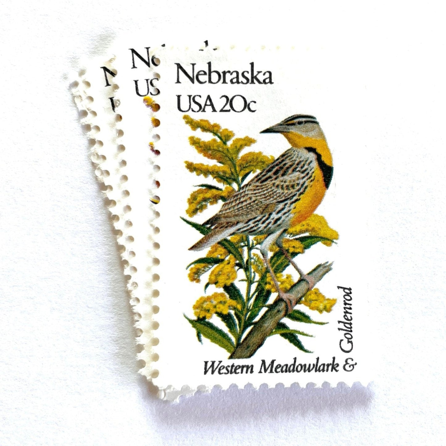 Image of Nebraska State Bird and Flower postage stamps from 1982, featuring a Western Meadowlark and Goldenrod on vintage unused 20-cent USPS postage, Scott 1979.