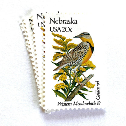 Image of Nebraska State Bird and Flower postage stamps from 1982, featuring a Western Meadowlark and Goldenrod on vintage unused 20-cent USPS postage, Scott 1979.