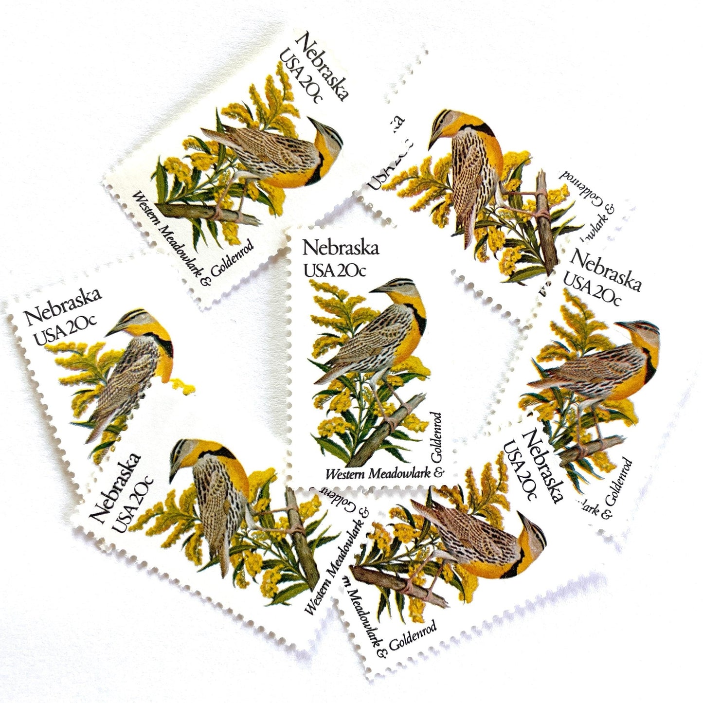 Image of Nebraska State Bird and Flower postage stamps from 1982, featuring a Western Meadowlark and Goldenrod on vintage unused 20-cent USPS postage, Scott 1979.