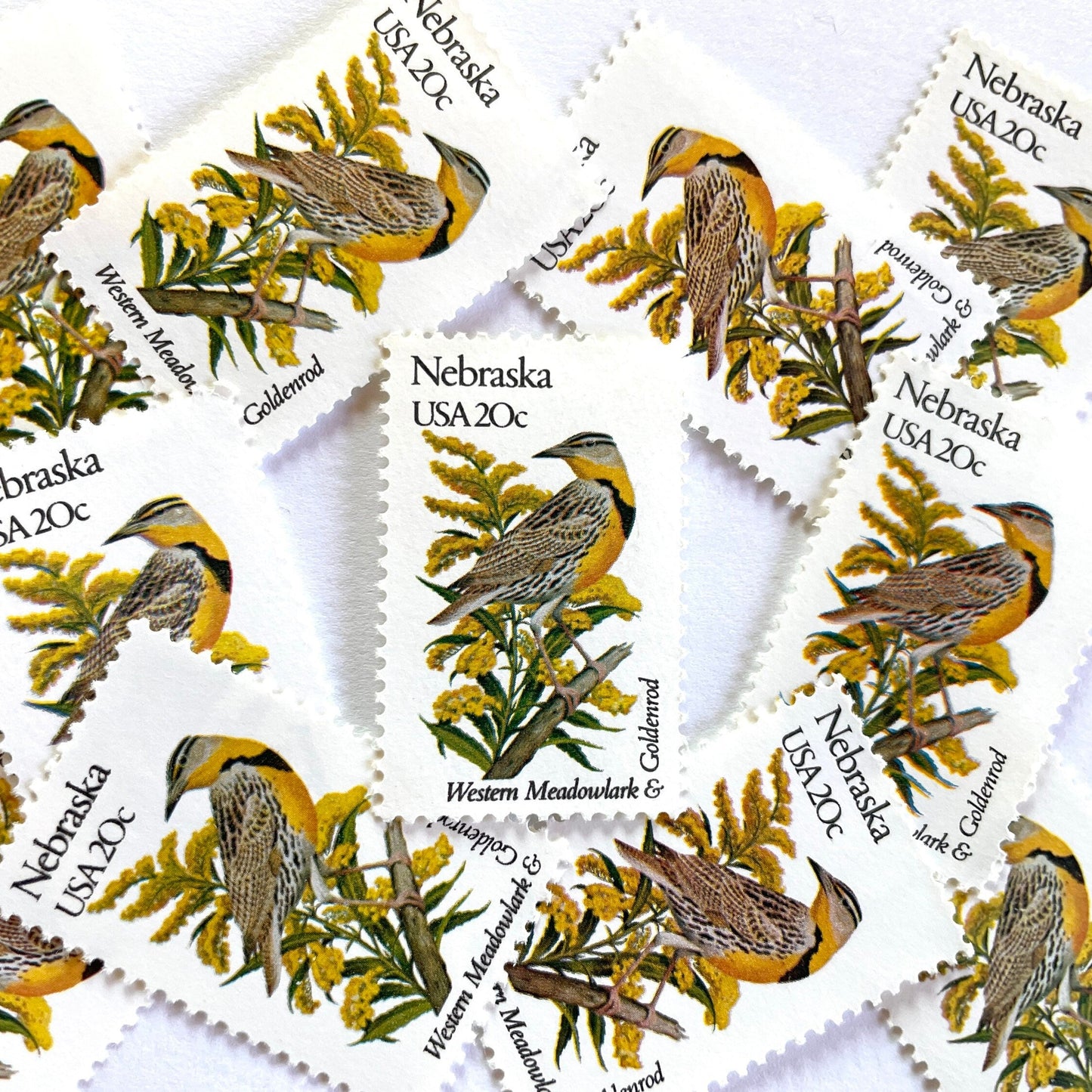 Image of Nebraska State Bird and Flower postage stamps from 1982, featuring a Western Meadowlark and Goldenrod on vintage unused 20-cent USPS postage, Scott 1979.